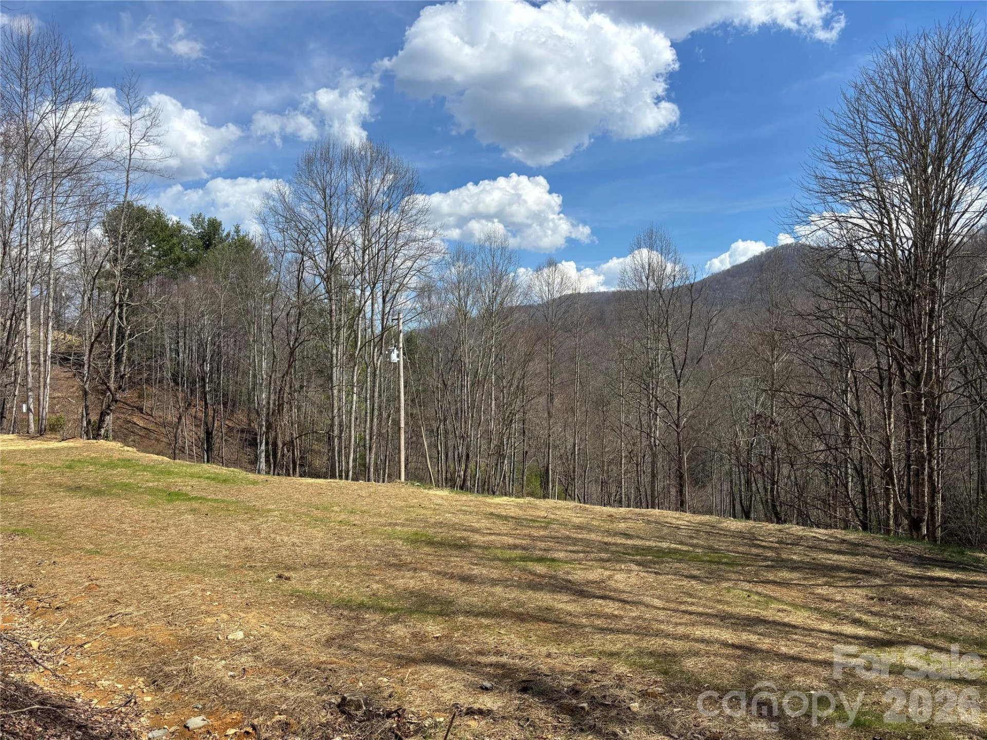 (South Lot) Meadow Fork Road - Photo 3