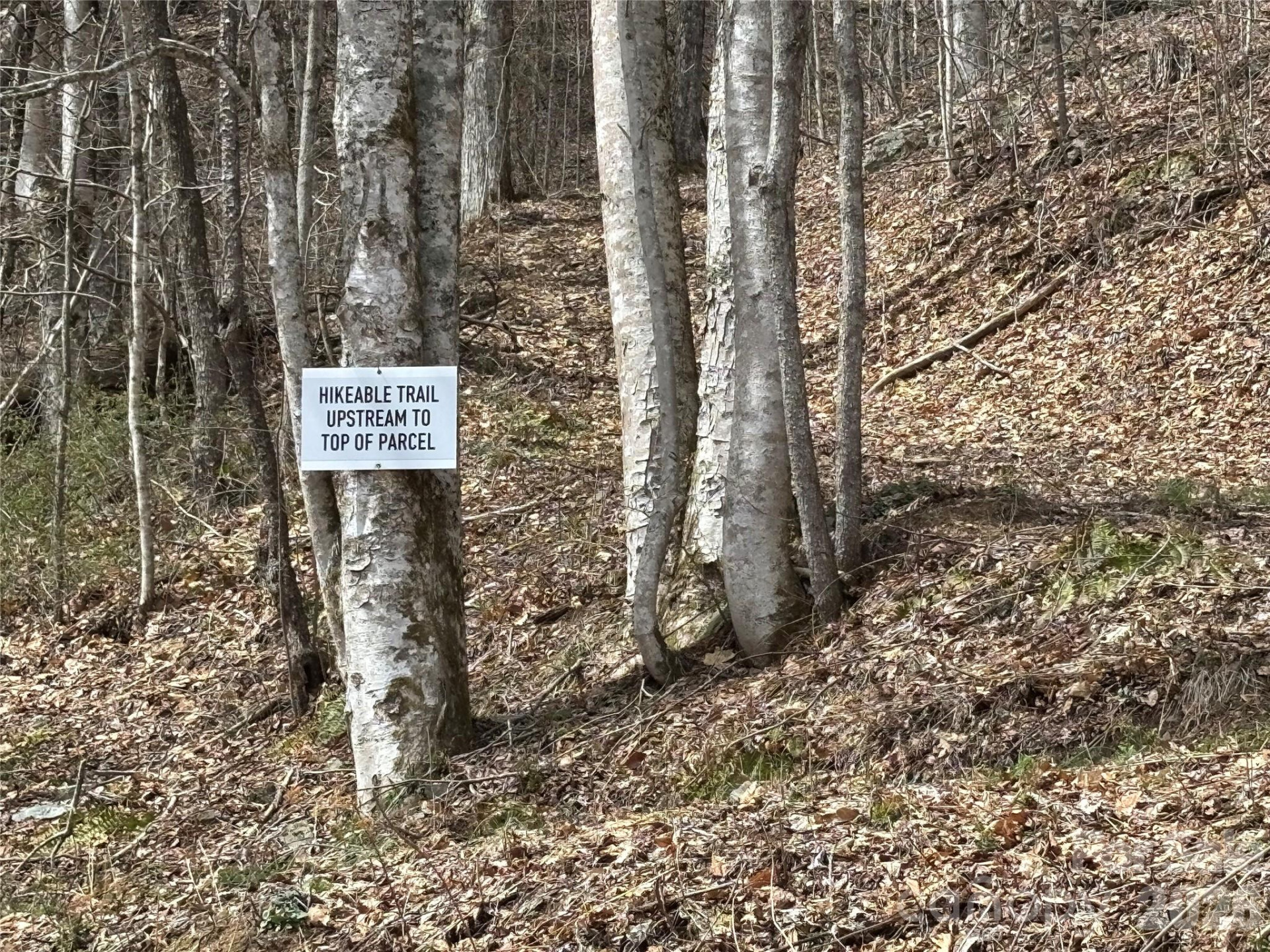 (South Lot) Meadow Fork Road - Photo 21