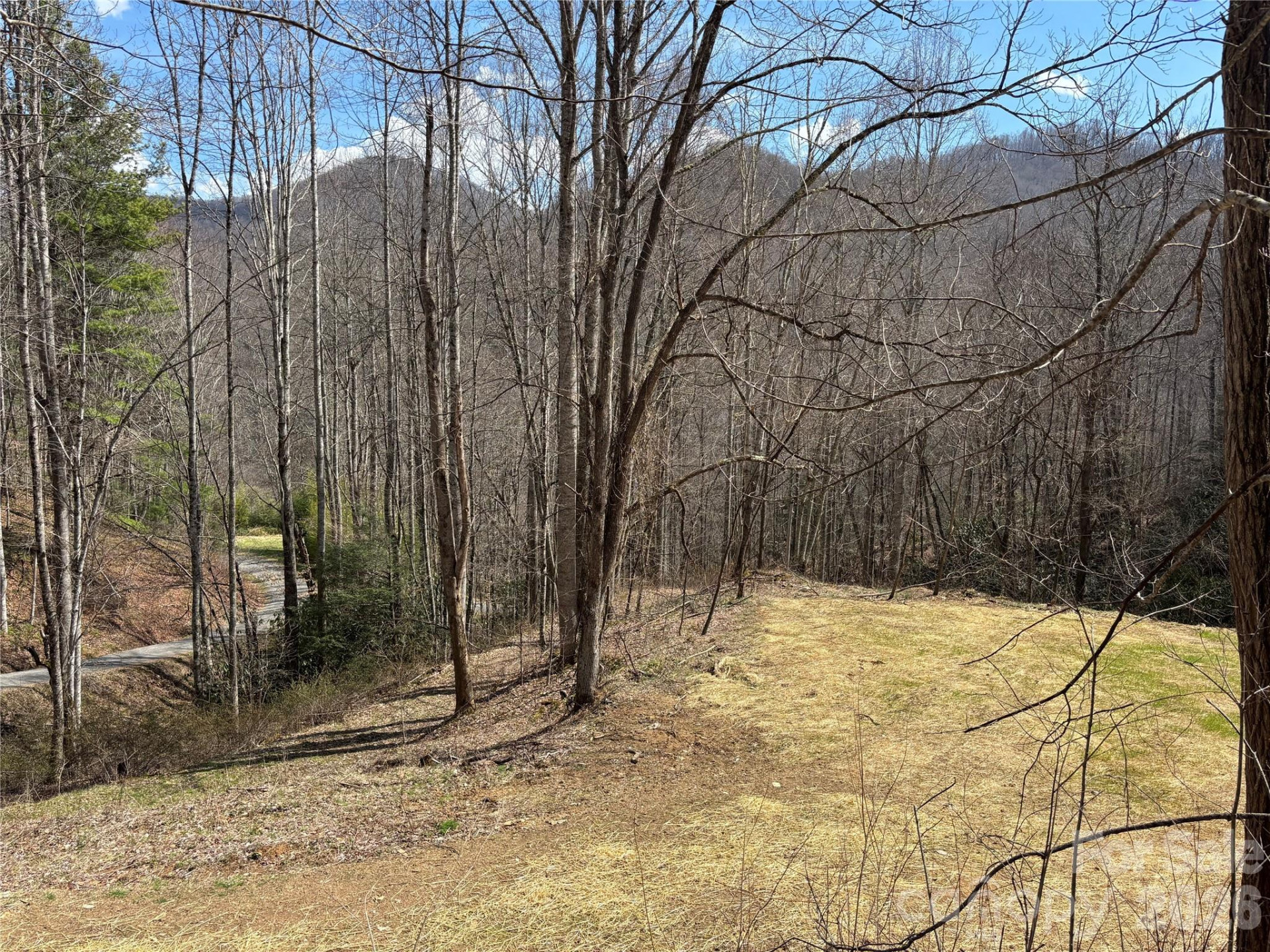 (South Lot) Meadow Fork Road - Photo 4