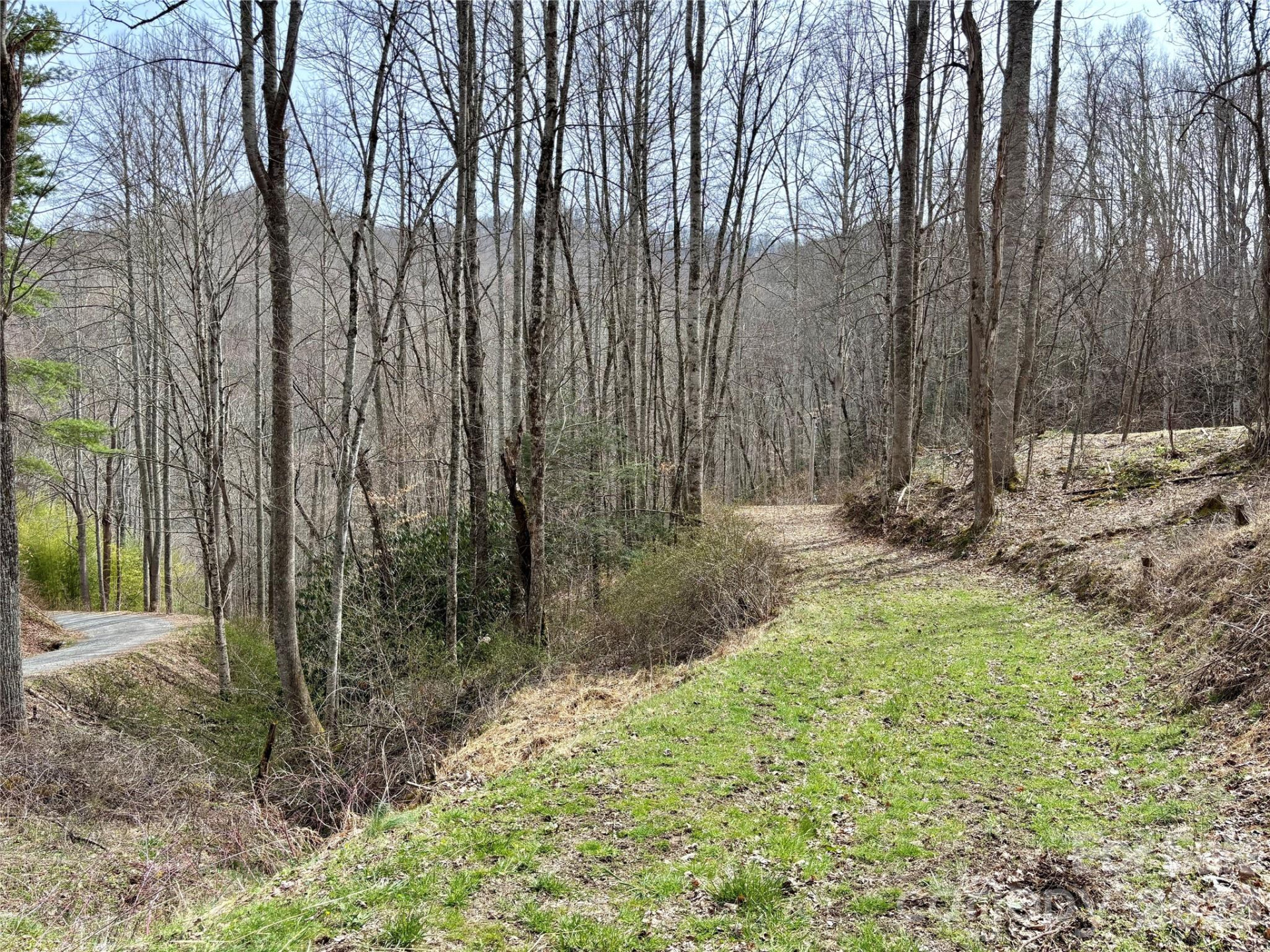 (South Lot) Meadow Fork Road - Photo 7
