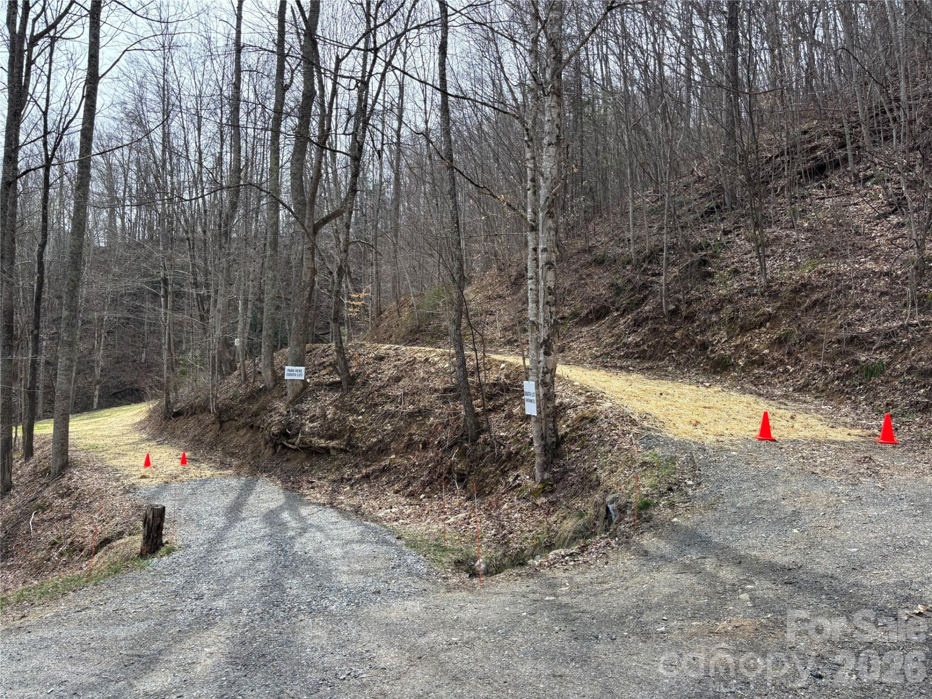 (South Lot) Meadow Fork Road - Photo 9