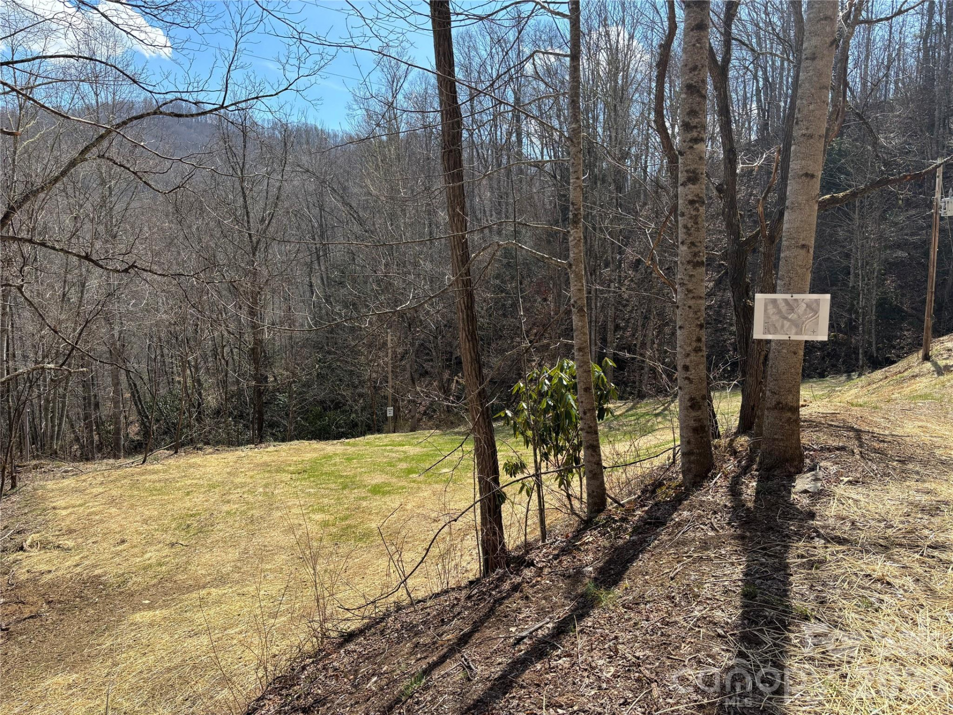 (South Lot) Meadow Fork Road - Photo 10