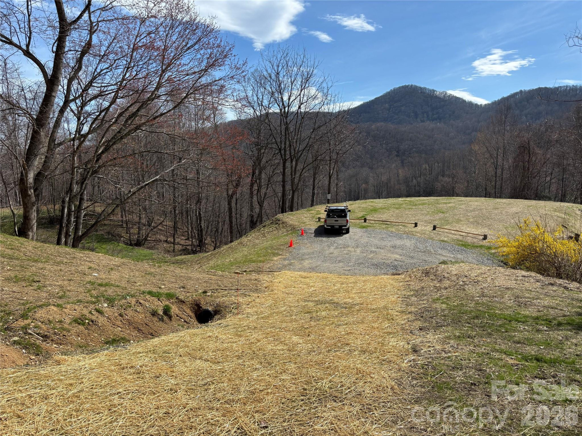 (East Lot) Meadow Fork Road - Photo 2