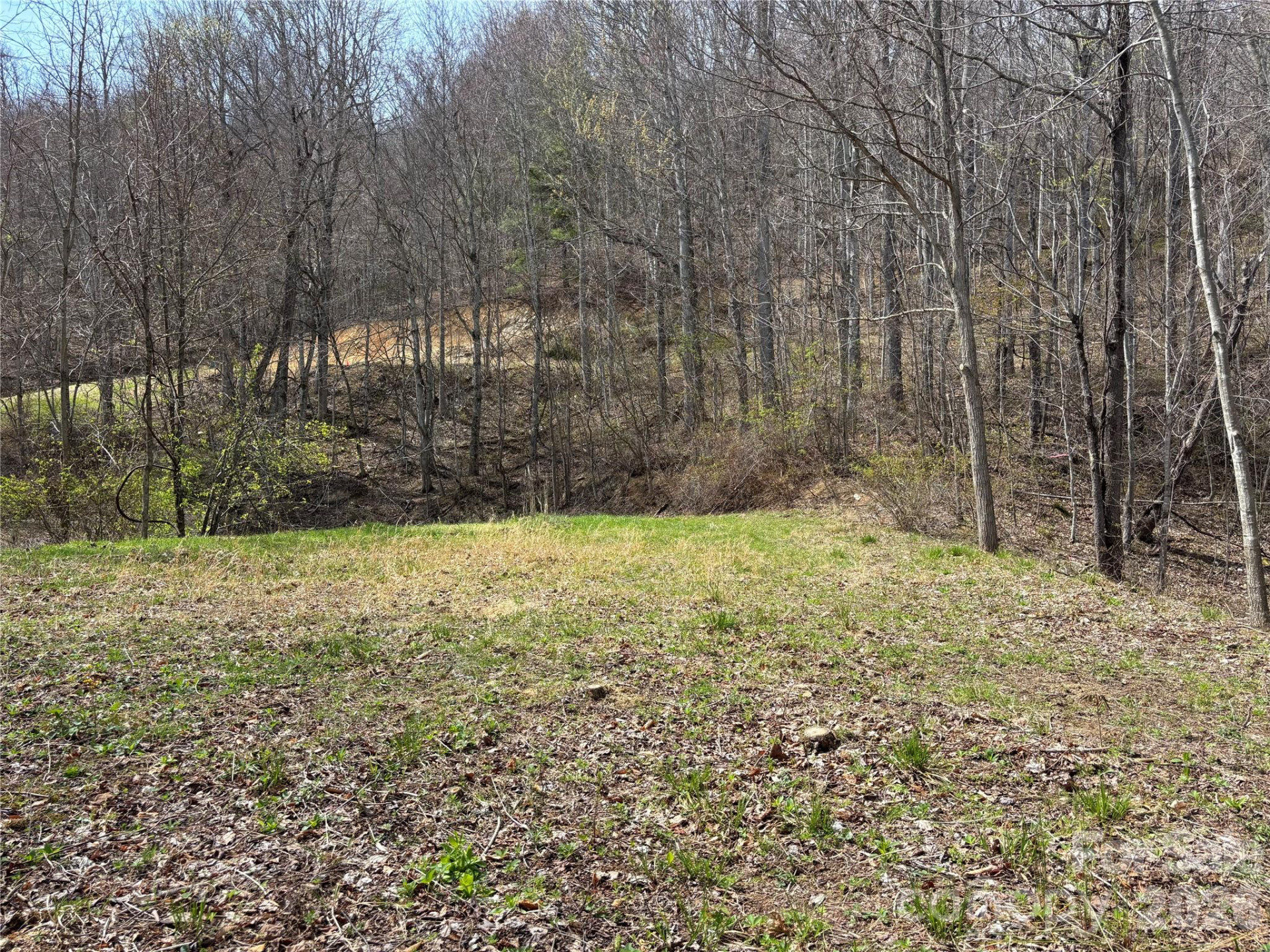 (East Lot) Meadow Fork Road - Photo 11