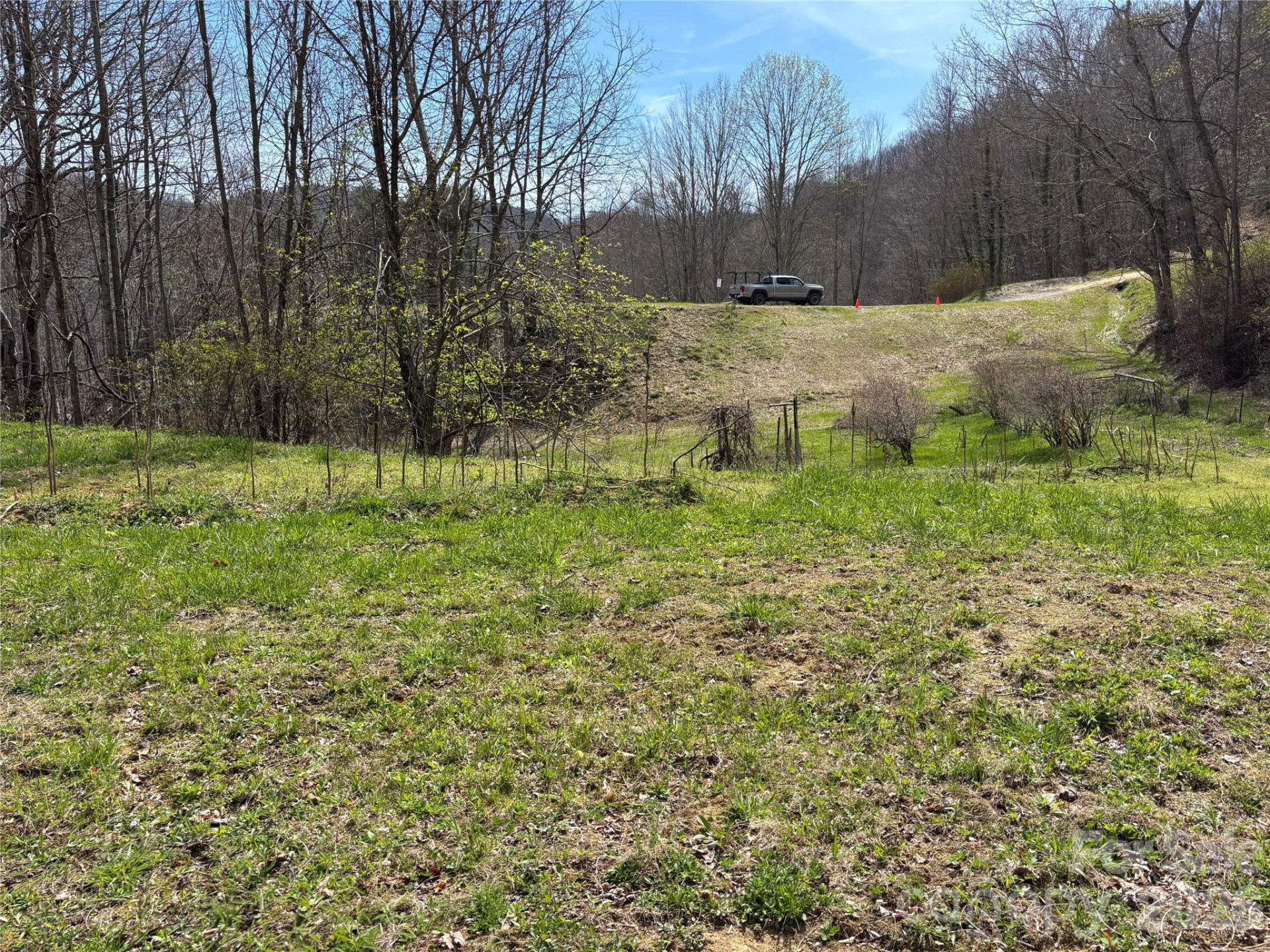 (East Lot) Meadow Fork Road - Photo 12