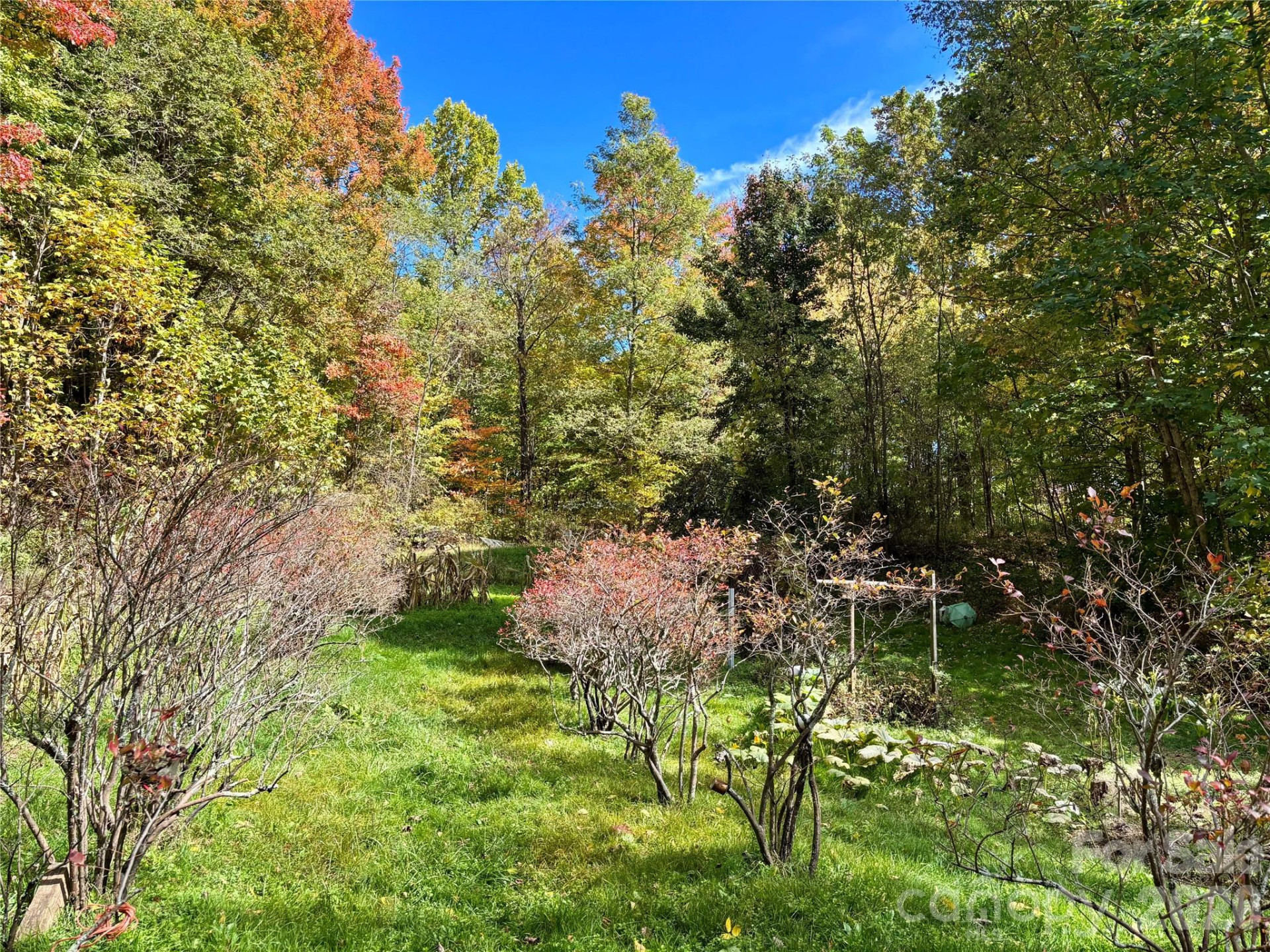 (East Lot) Meadow Fork Road - Photo 13
