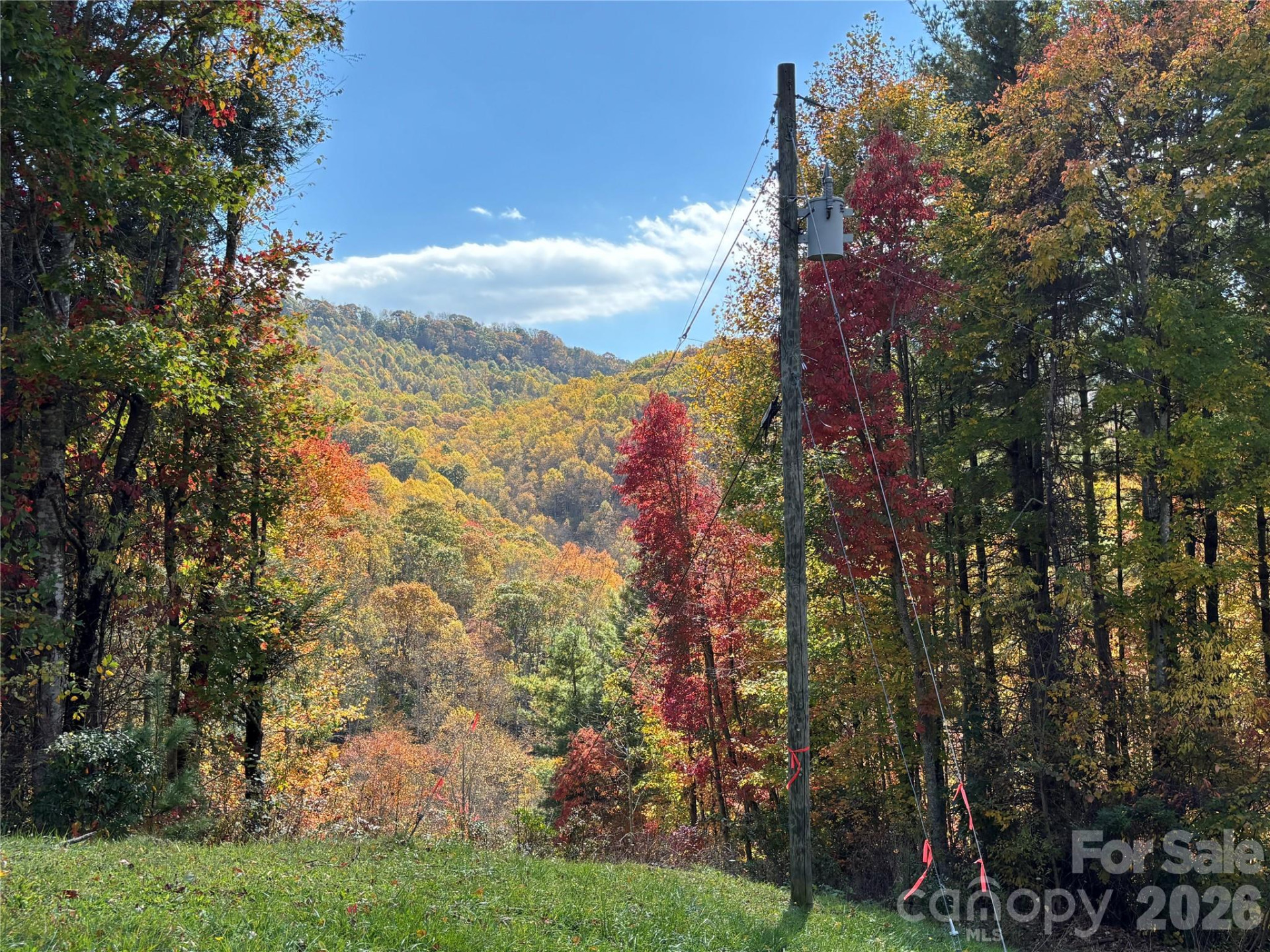(East Lot) Meadow Fork Road - Photo 14
