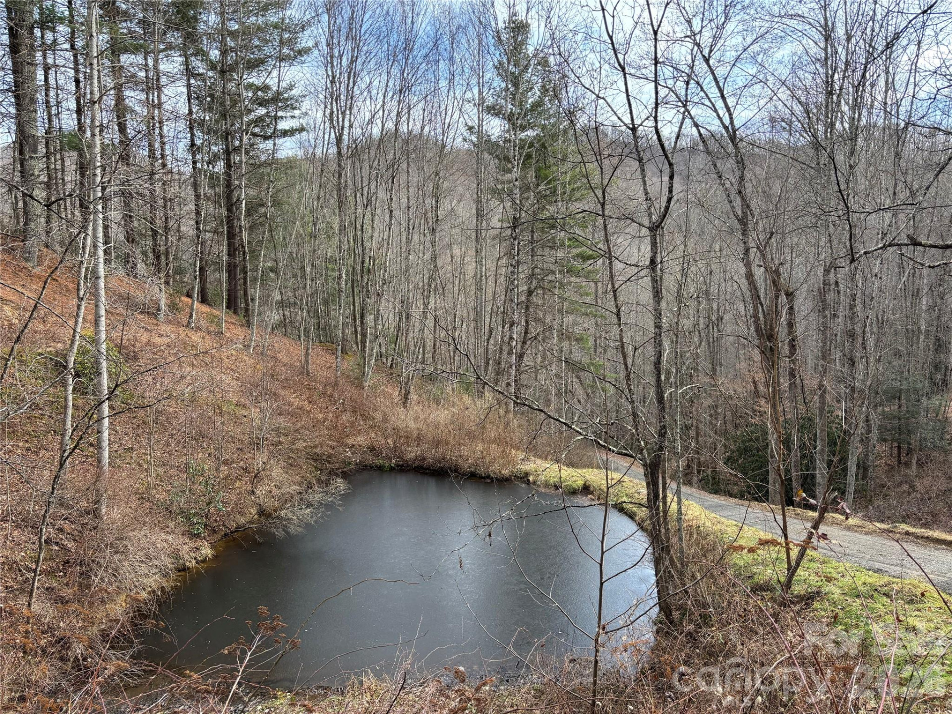 (East Lot) Meadow Fork Road - Photo 15