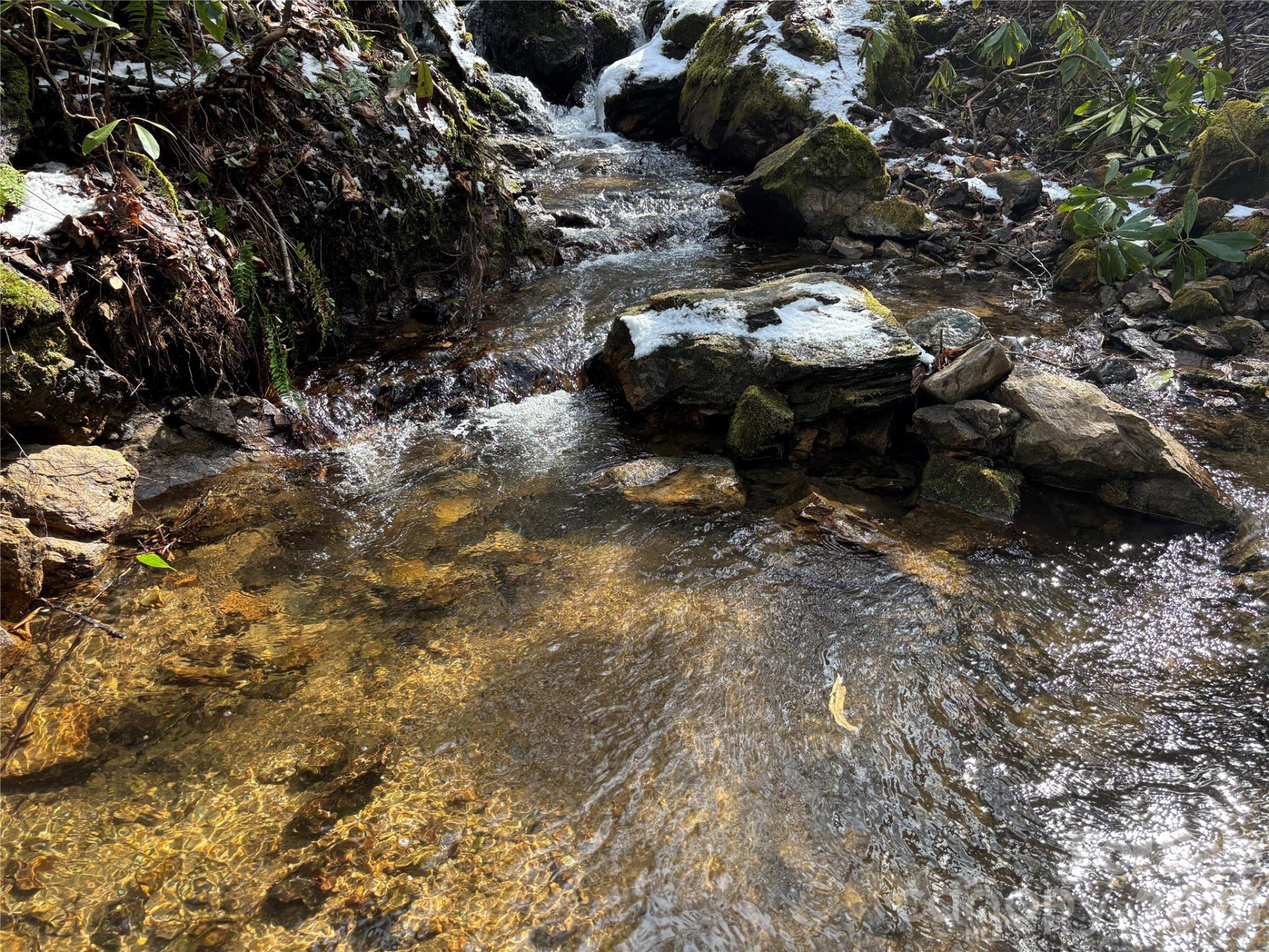 (East Lot) Meadow Fork Road - Photo 16