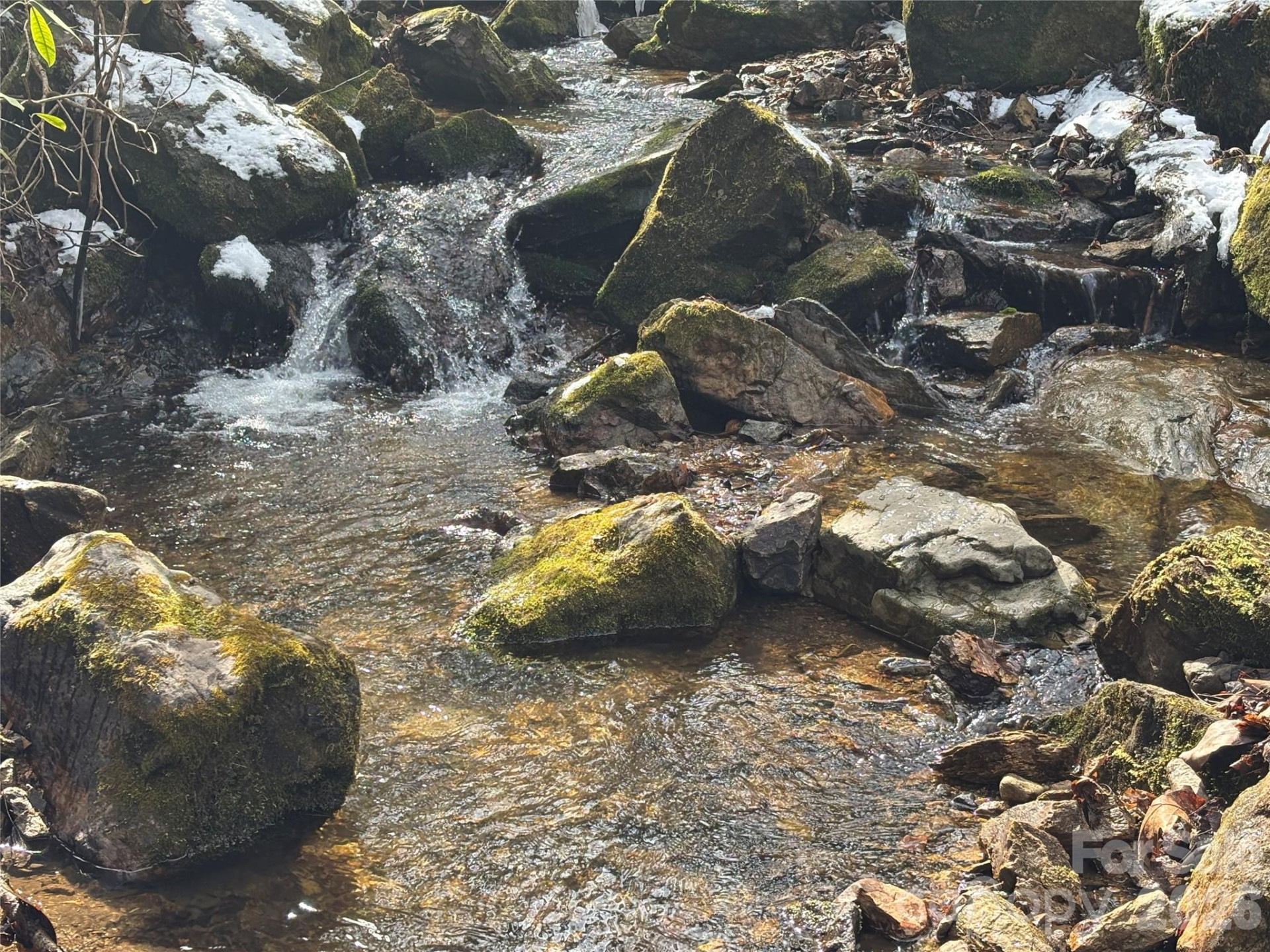 (East Lot) Meadow Fork Road - Photo 17