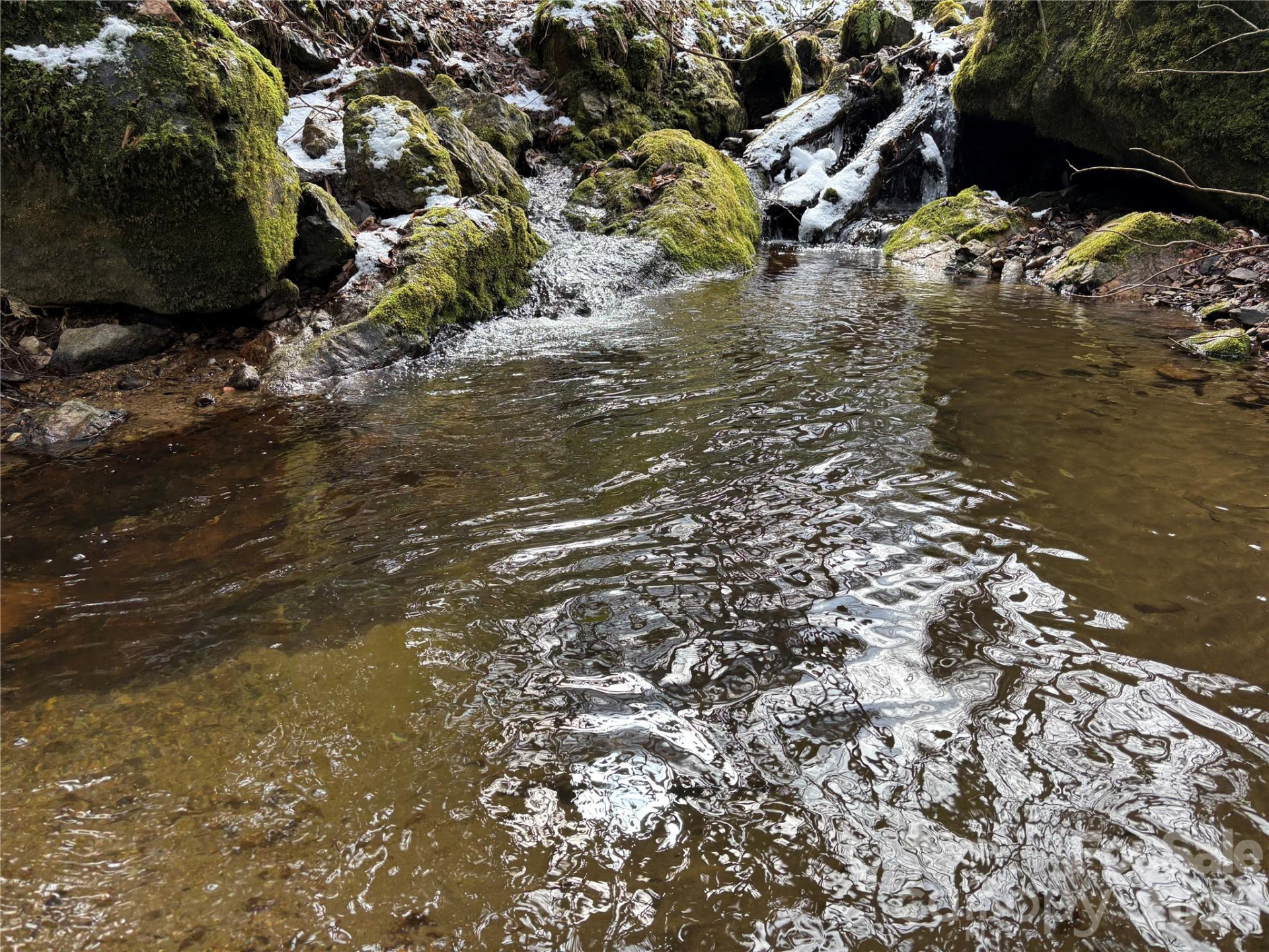 (East Lot) Meadow Fork Road - Photo 18