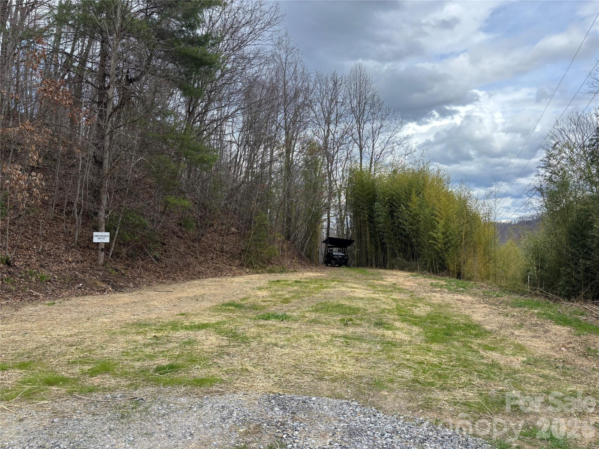 (East Lot) Meadow Fork Road - Photo 20