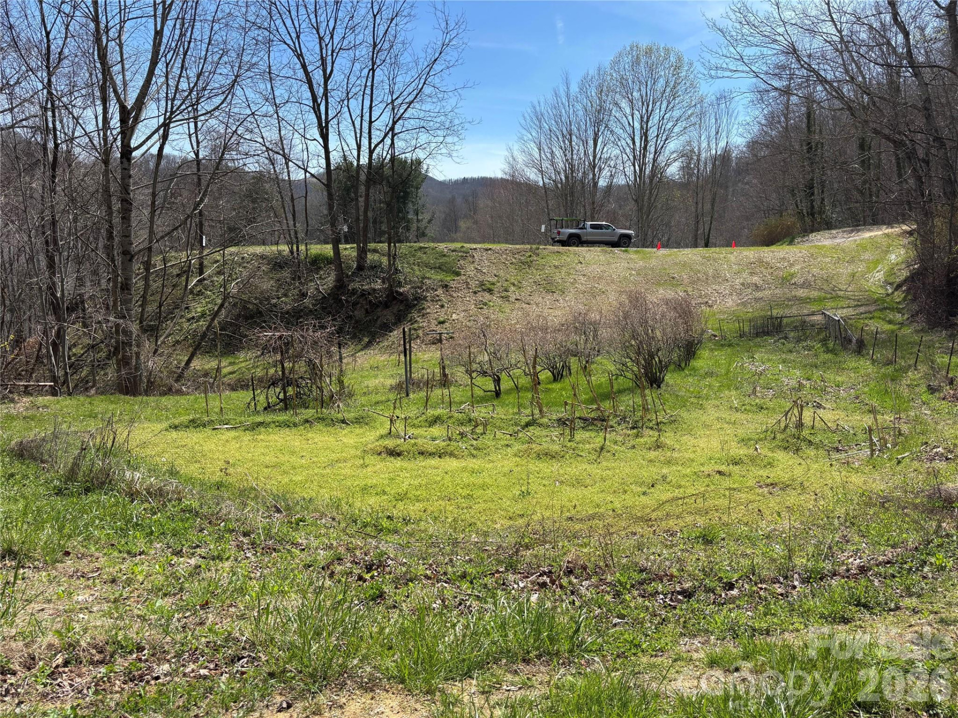 (East Lot) Meadow Fork Road - Photo 3