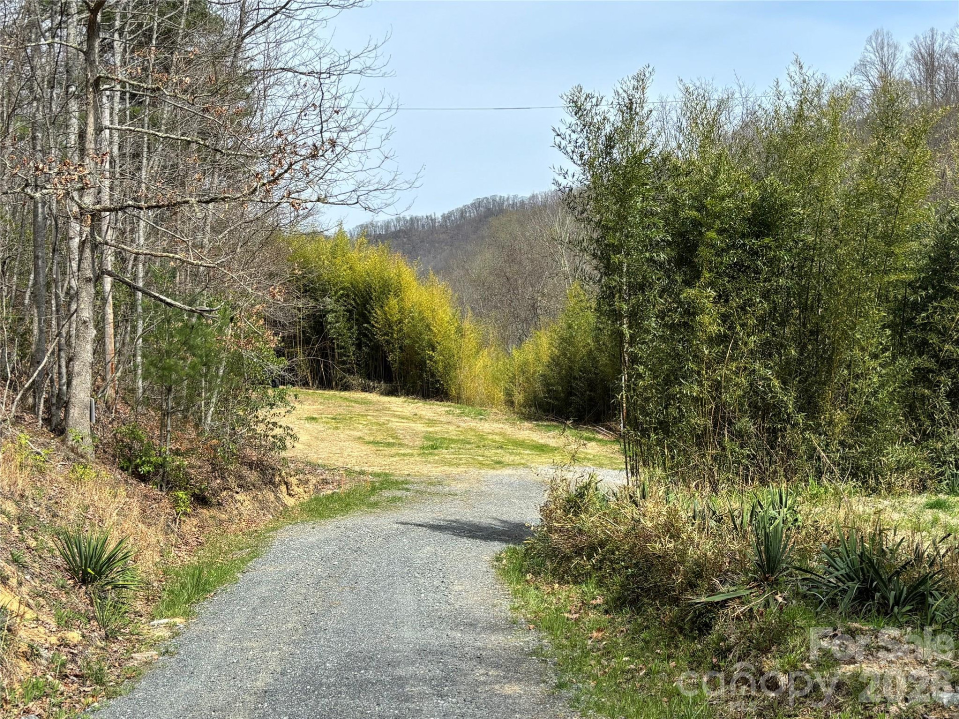 (East Lot) Meadow Fork Road - Photo 21