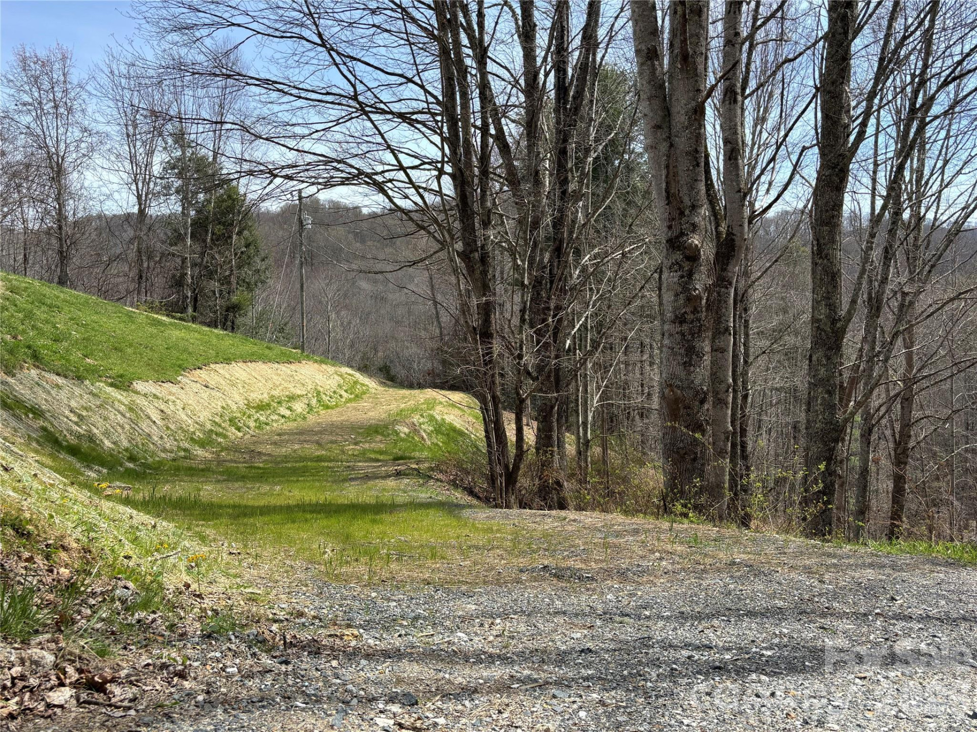 (East Lot) Meadow Fork Road - Photo 22