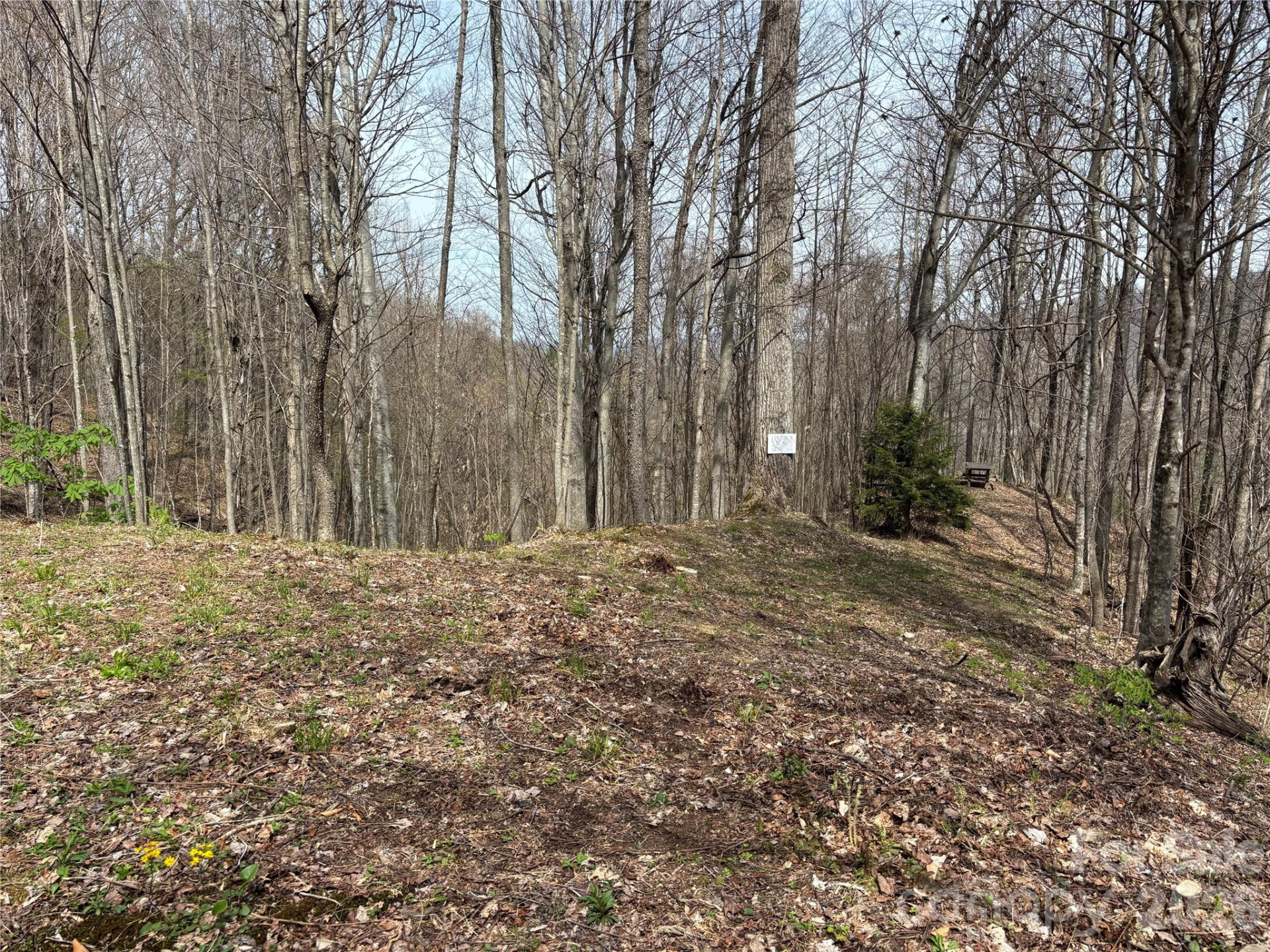(East Lot) Meadow Fork Road - Photo 26