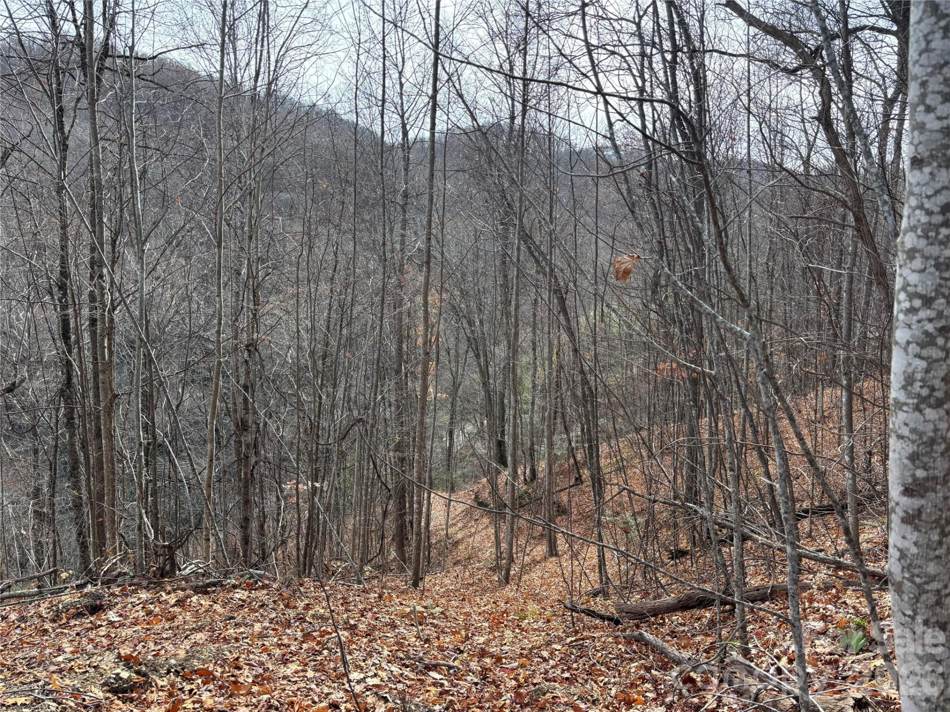 (East Lot) Meadow Fork Road - Photo 27