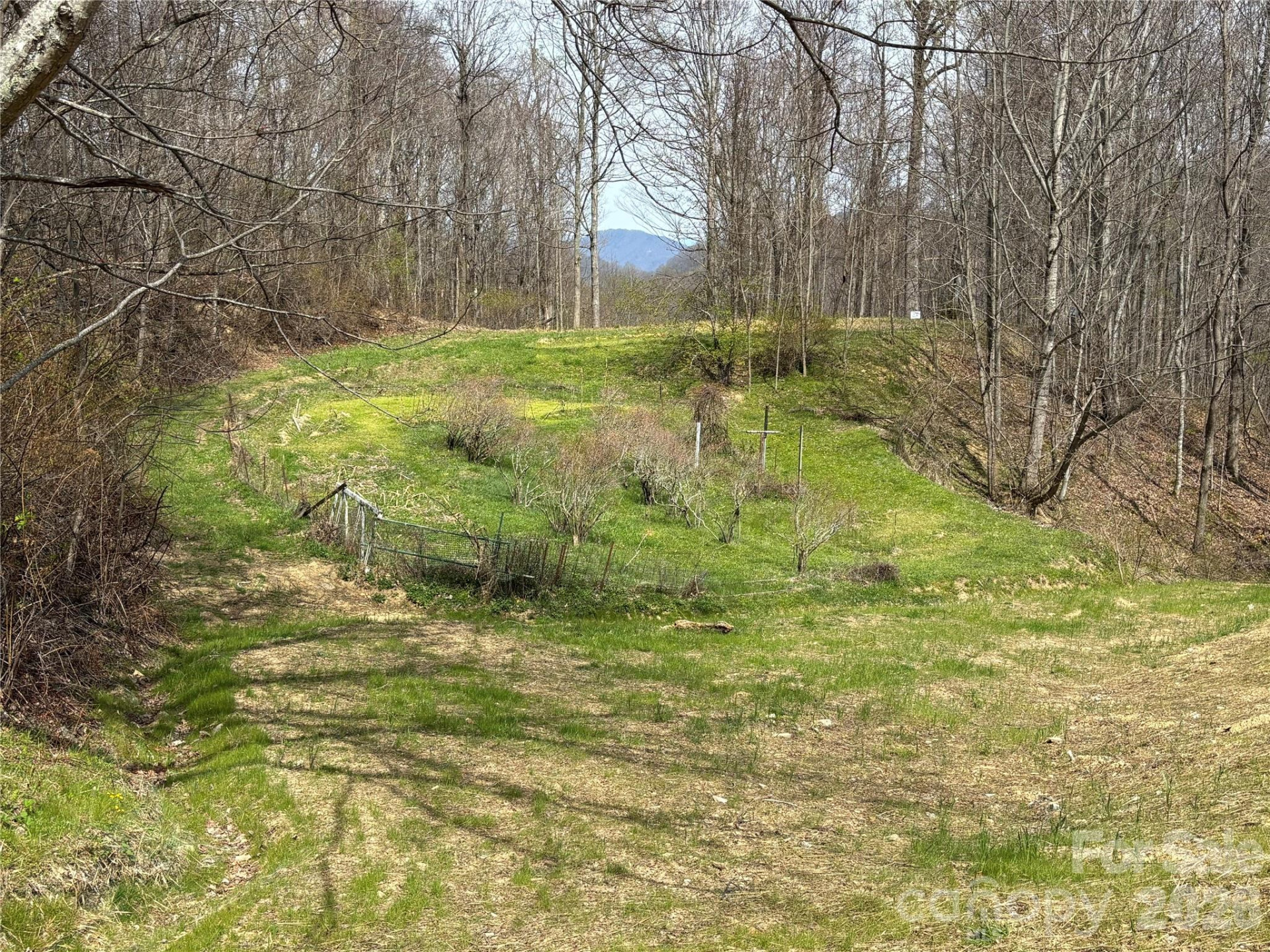 (East Lot) Meadow Fork Road - Photo 4