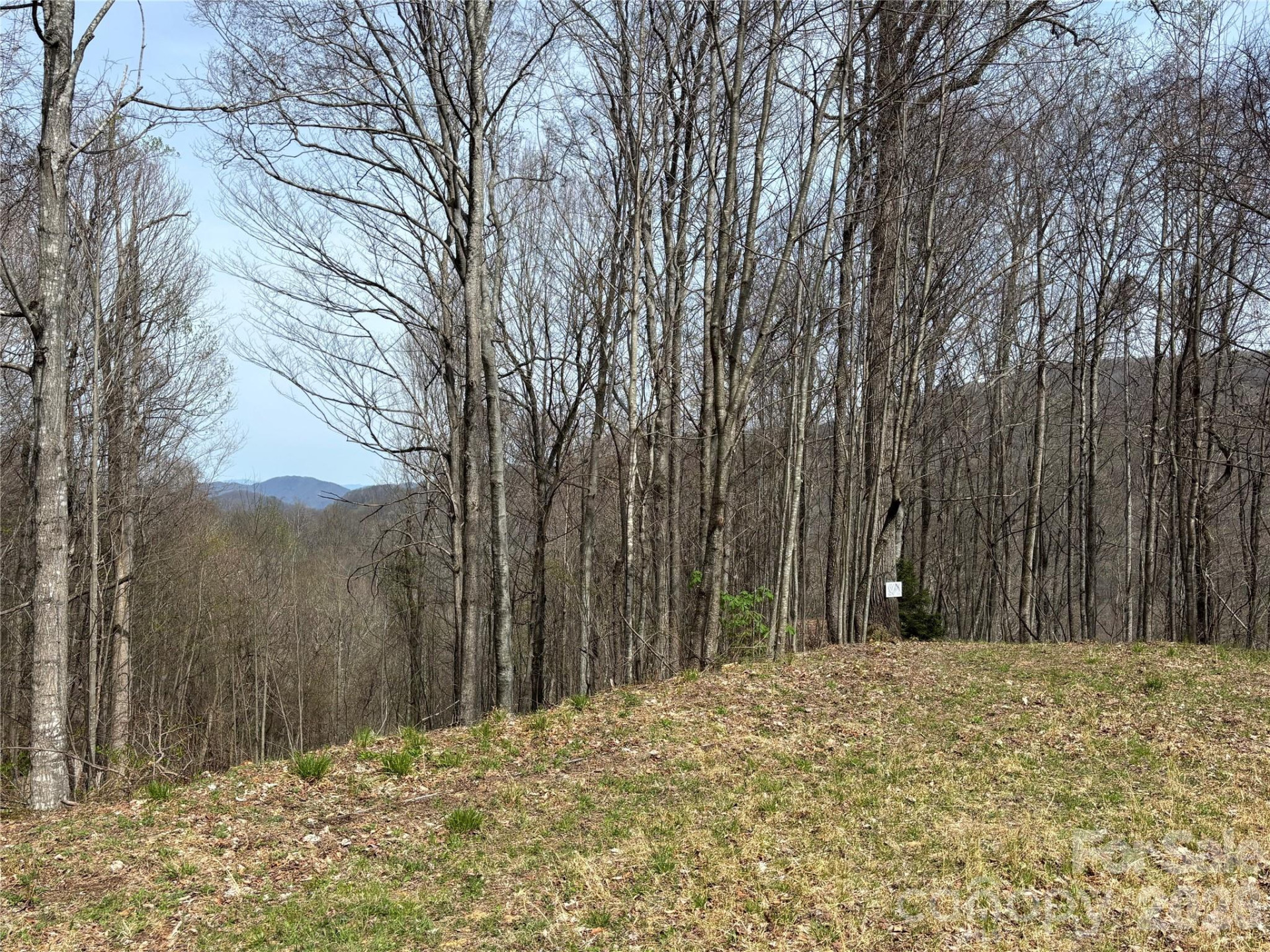 (East Lot) Meadow Fork Road - Photo 5