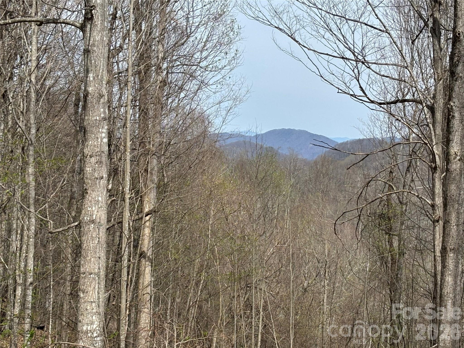 (East Lot) Meadow Fork Road - Photo 6