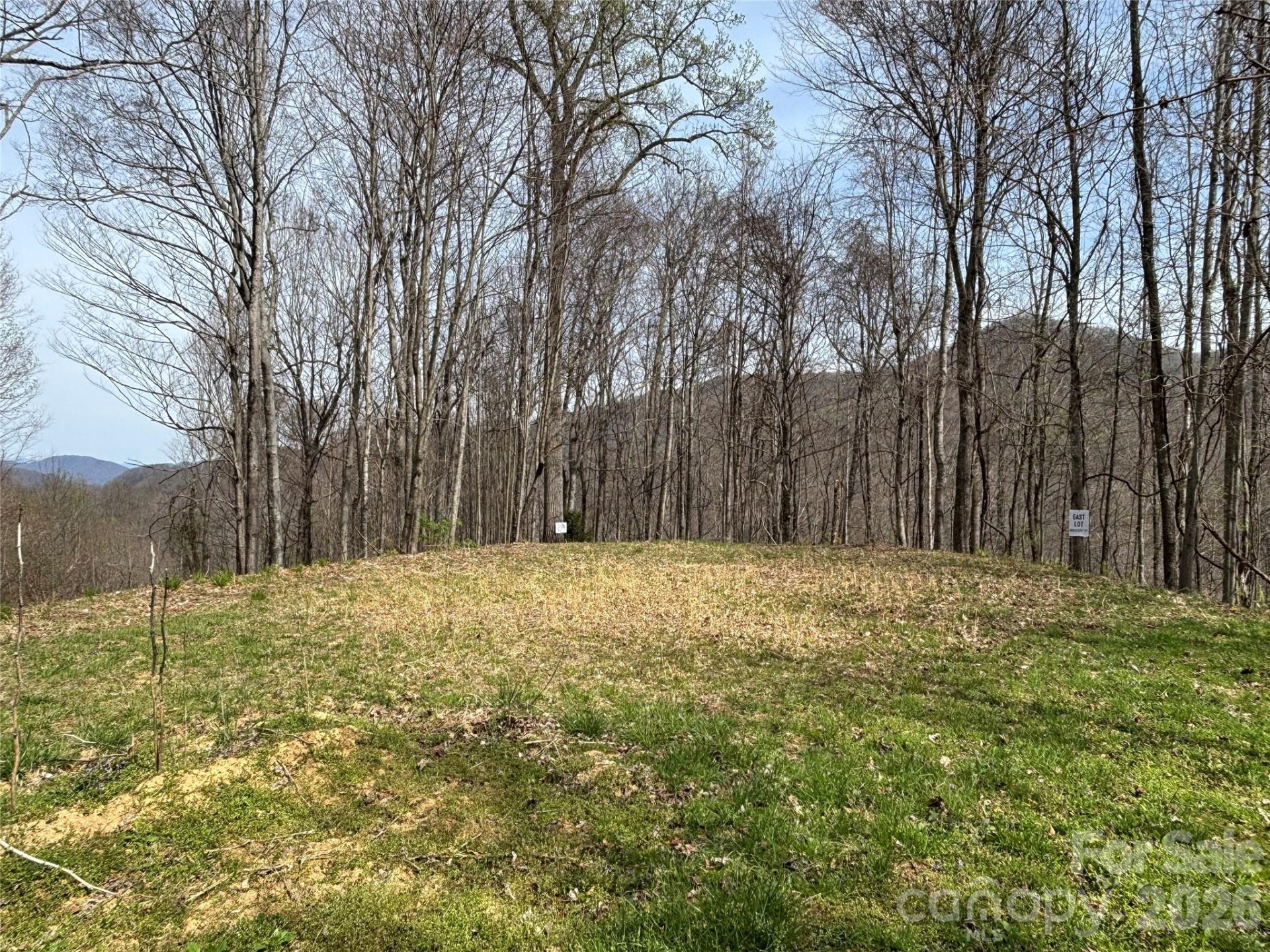 (East Lot) Meadow Fork Road - Photo 7