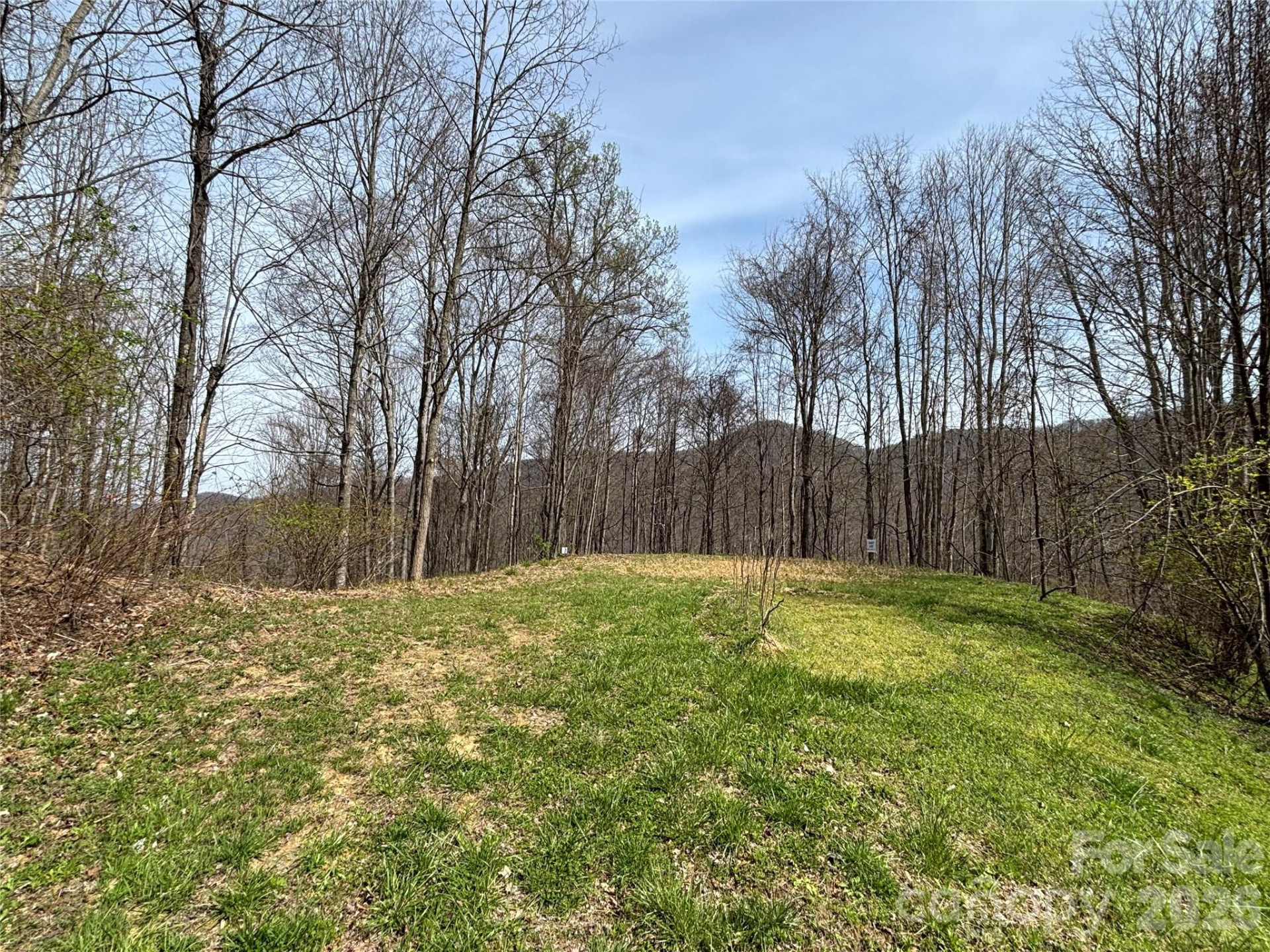 (East Lot) Meadow Fork Road - Photo 8