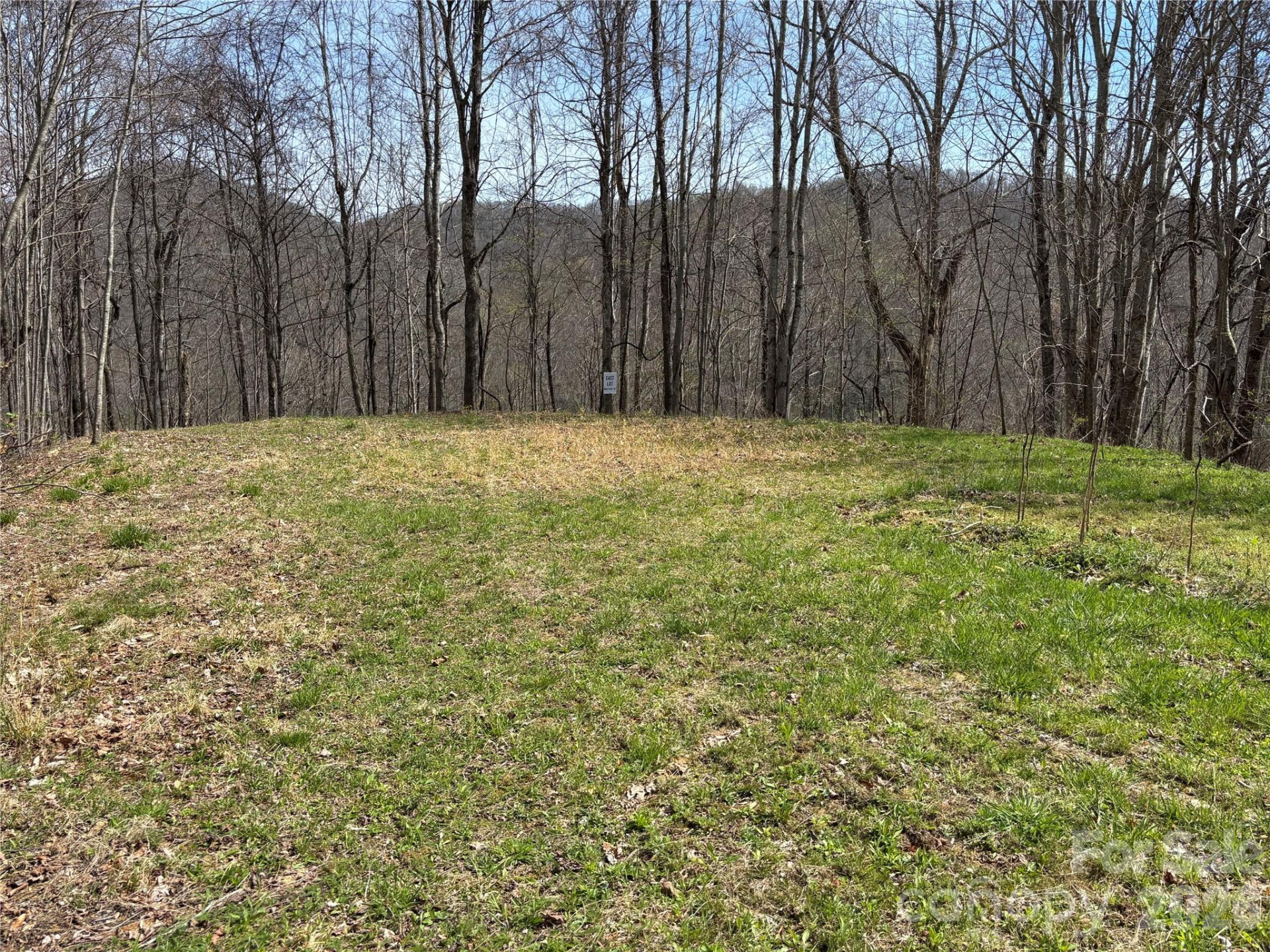 (East Lot) Meadow Fork Road - Photo 9