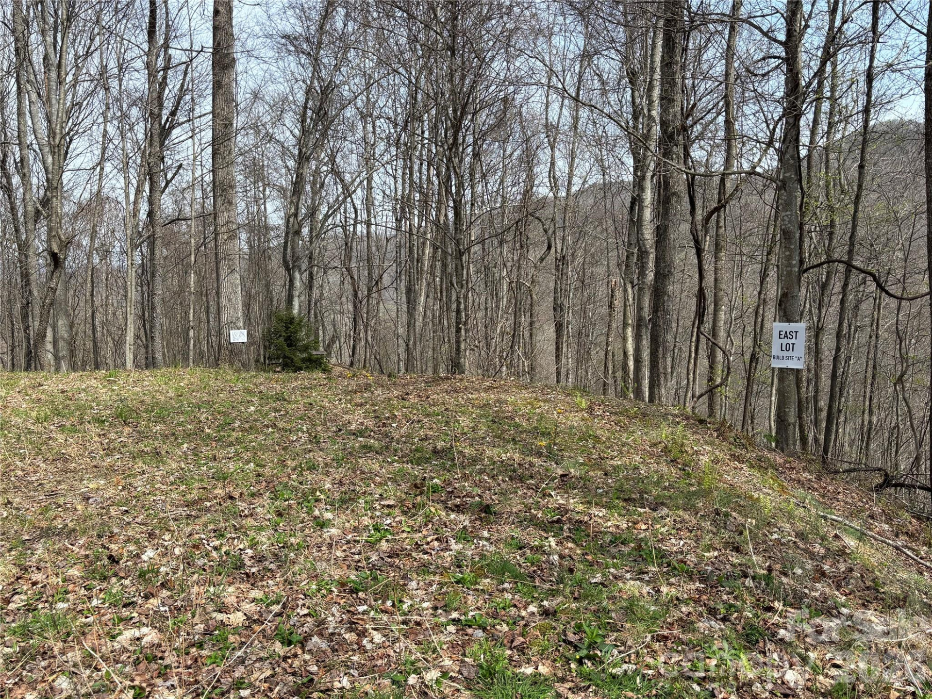 (East Lot) Meadow Fork Road - Photo 10