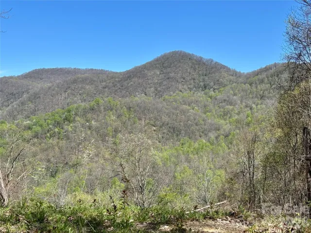 (West Lot) Meadow Fork Road, Hot Springs, NC, 28743