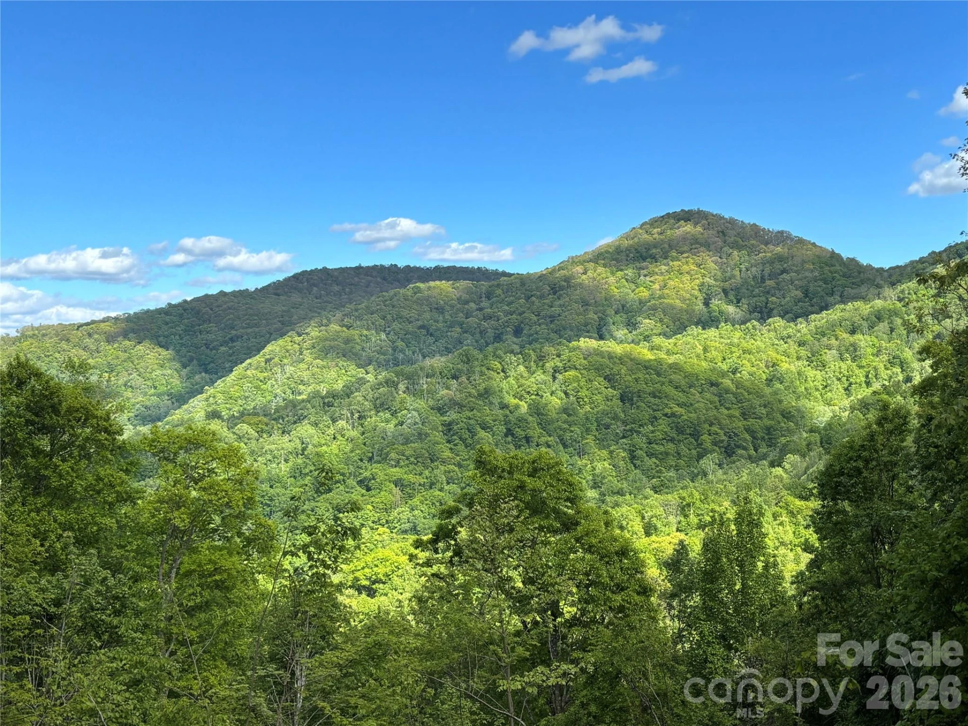 (West Lot) Meadow Fork Road