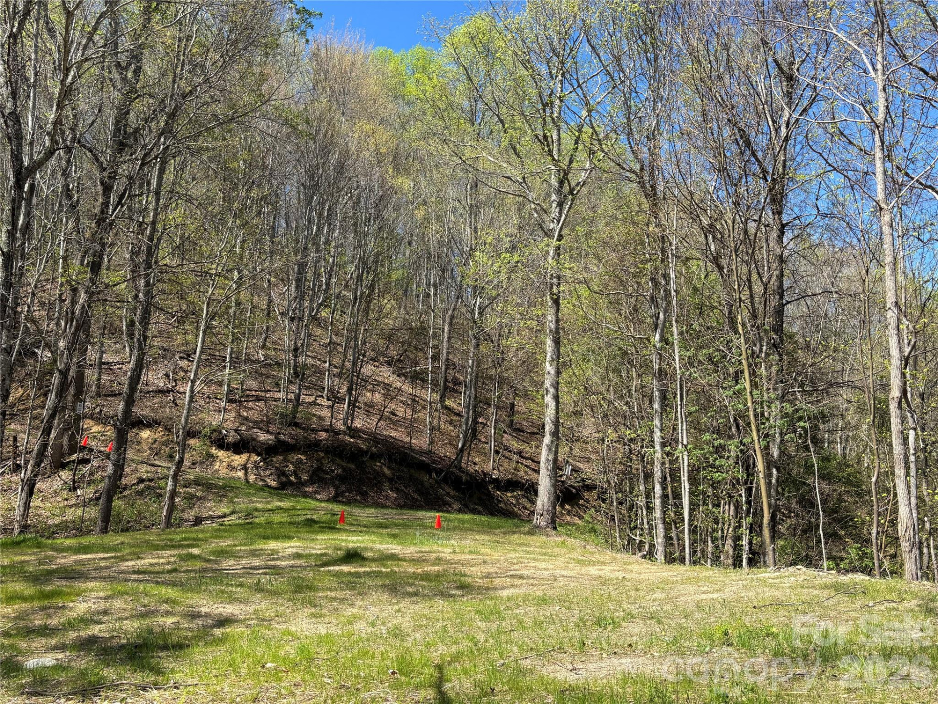 (West Lot) Meadow Fork Road - Photo 11