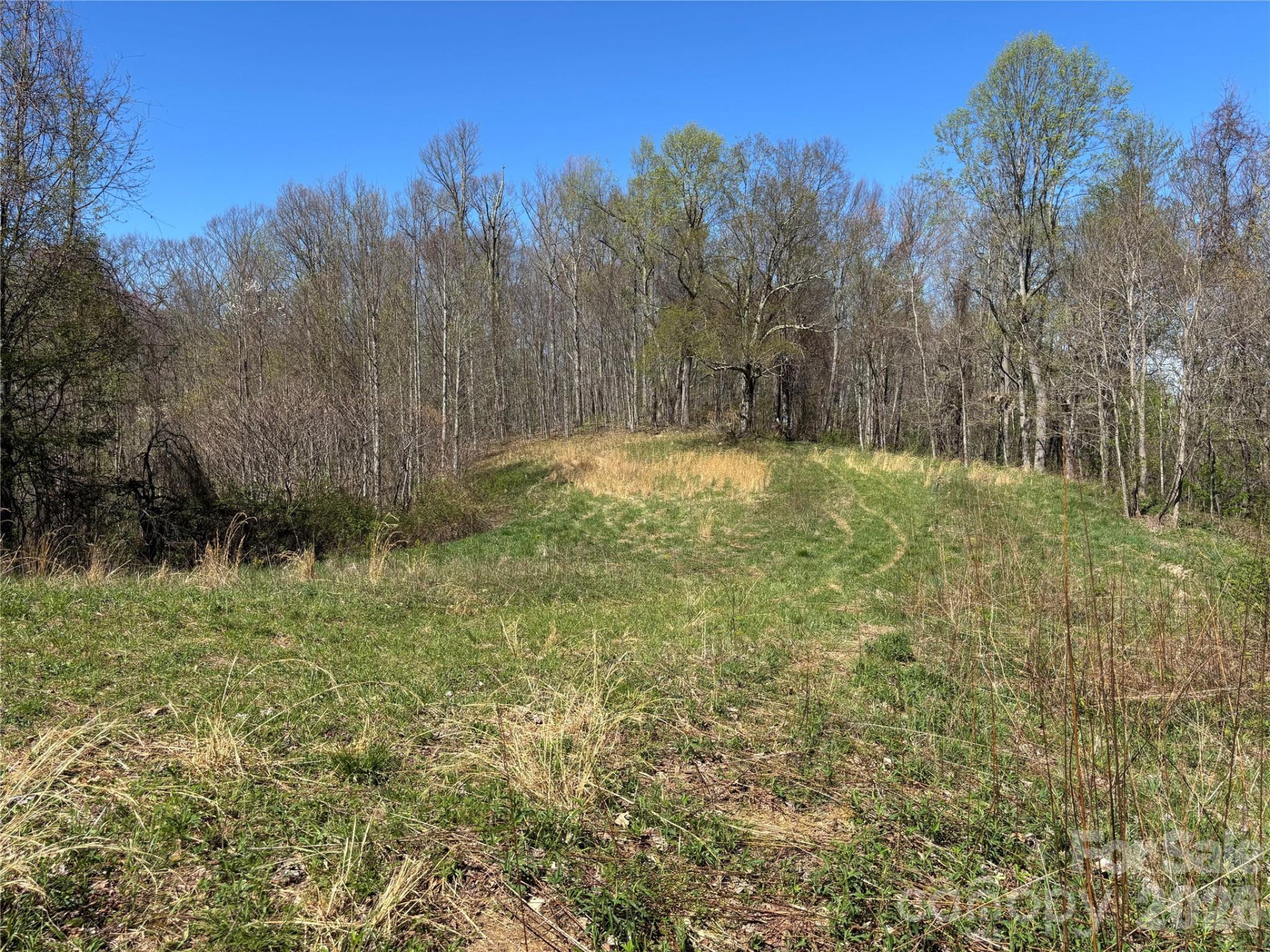(West Lot) Meadow Fork Road - Photo 13
