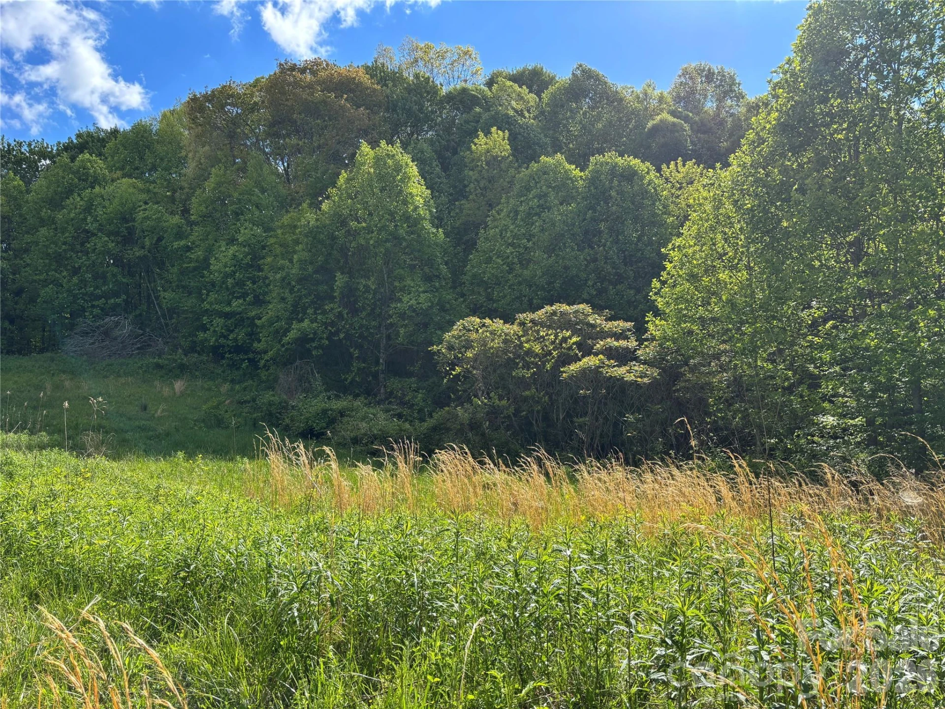 (West Lot) Meadow Fork Road - Photo 12