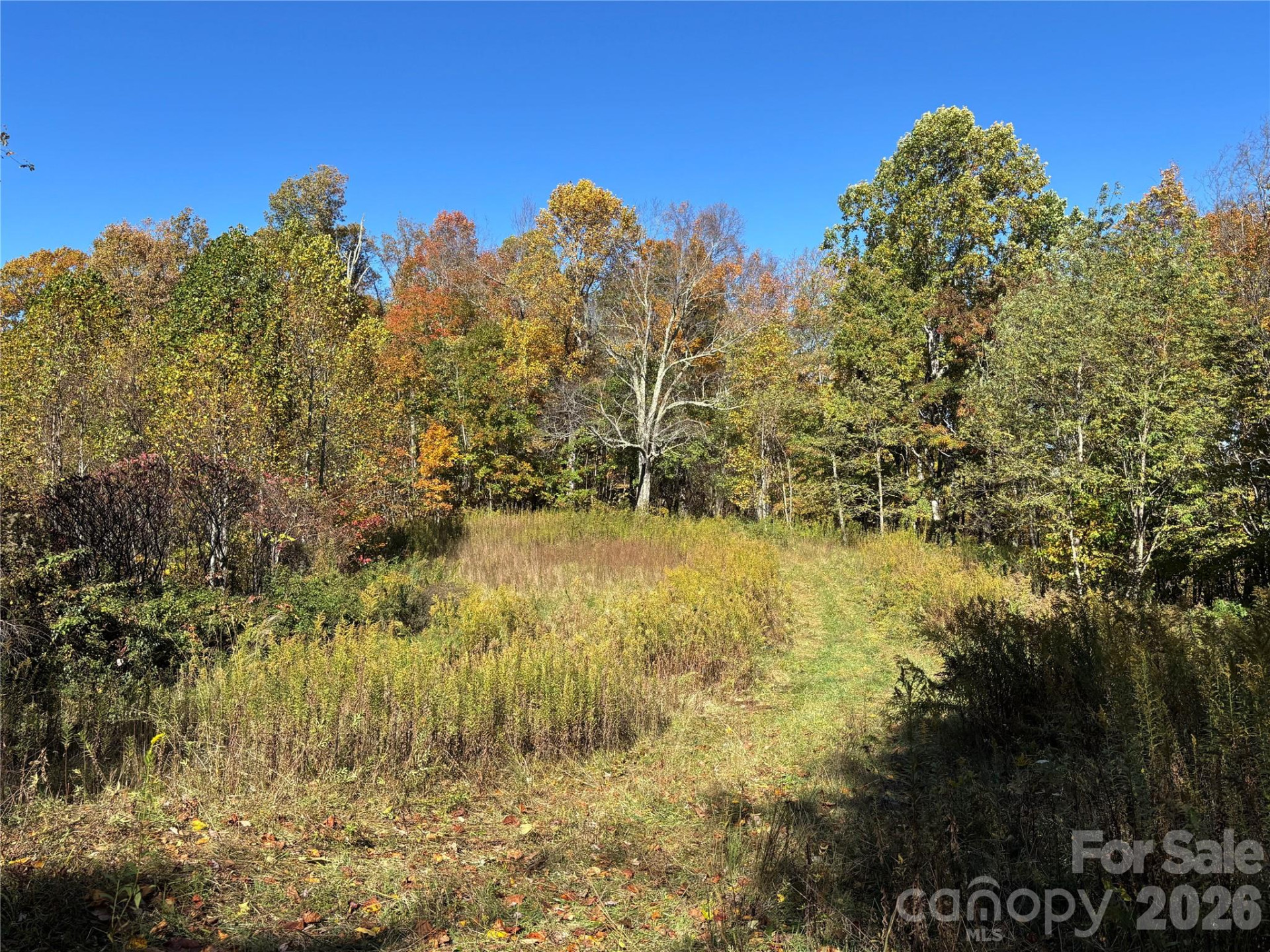 (West Lot) Meadow Fork Road - Photo 14