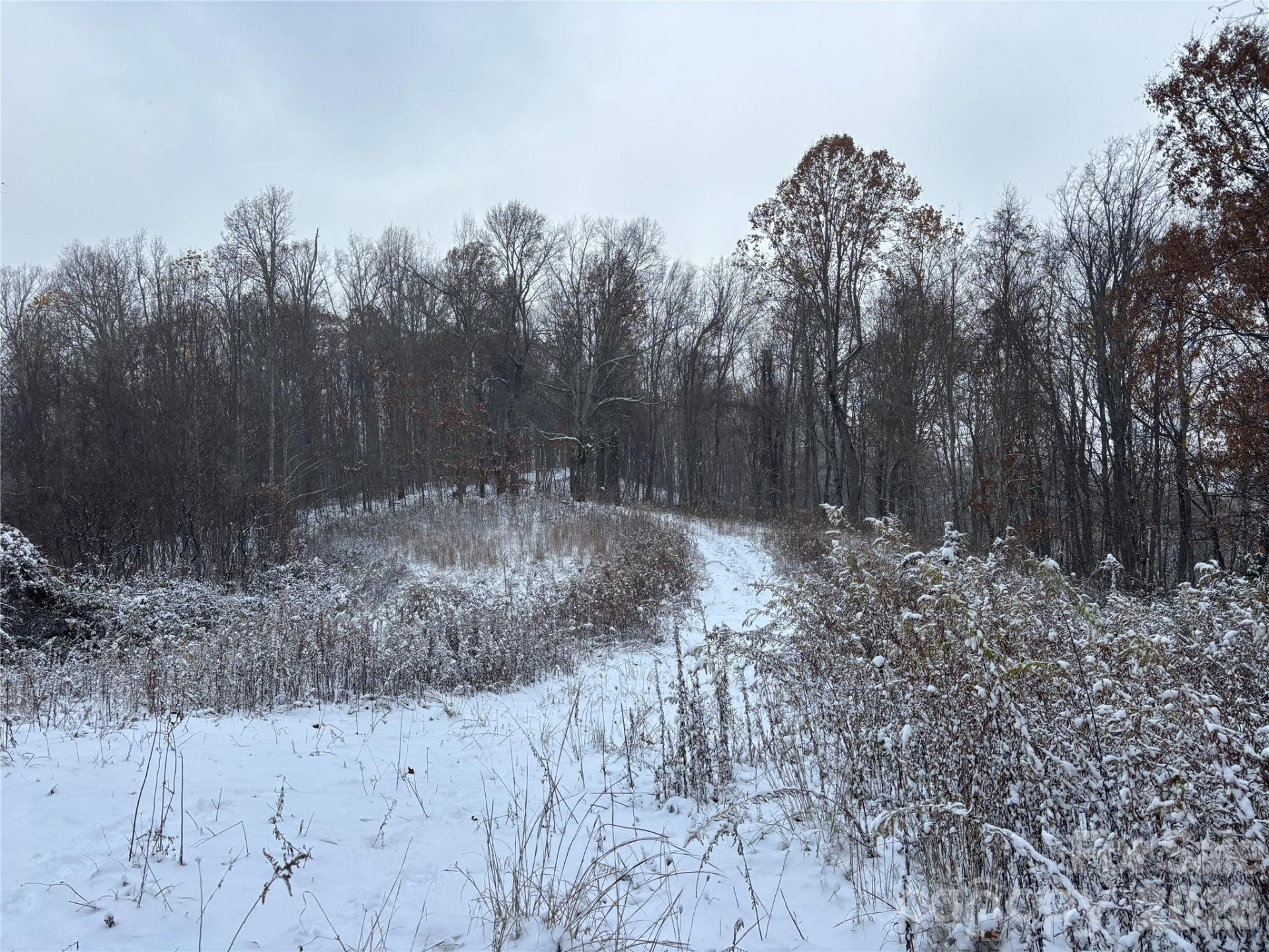 (West Lot) Meadow Fork Road - Photo 15