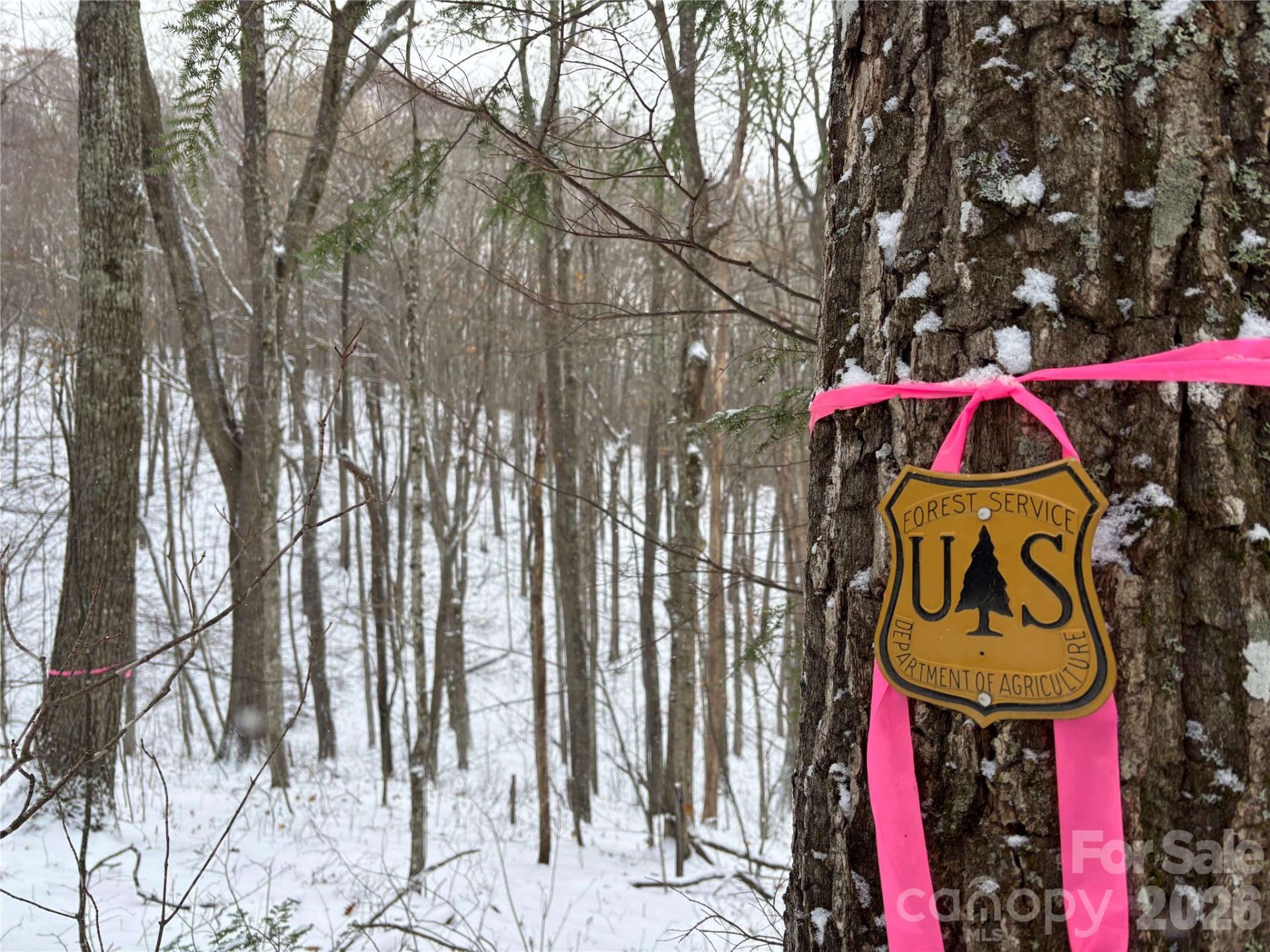 (West Lot) Meadow Fork Road - Photo 16