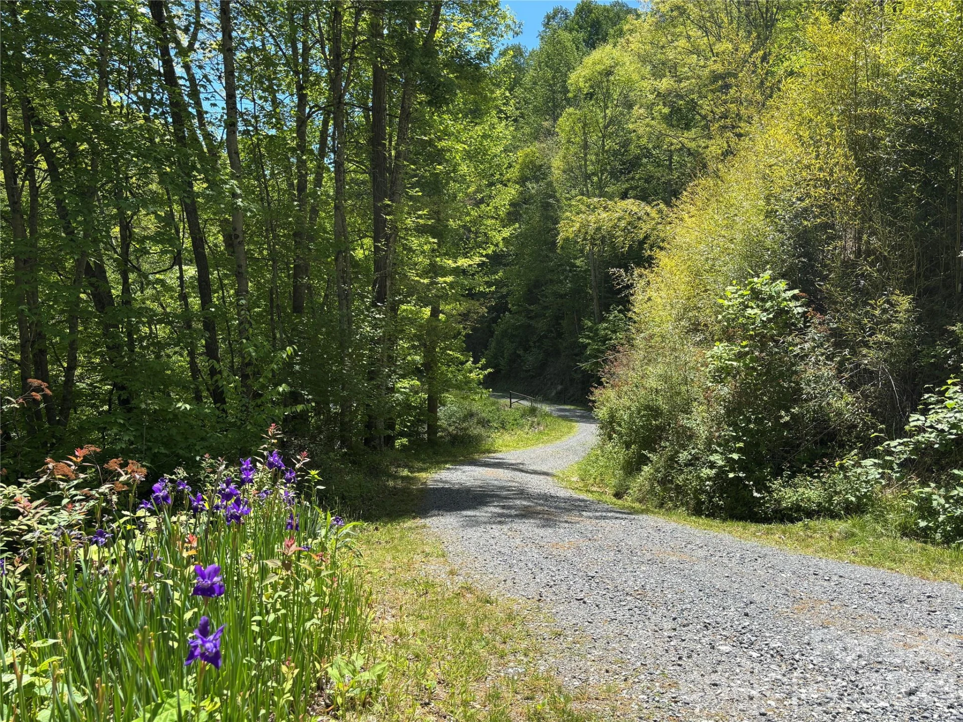 (West Lot) Meadow Fork Road - Photo 14