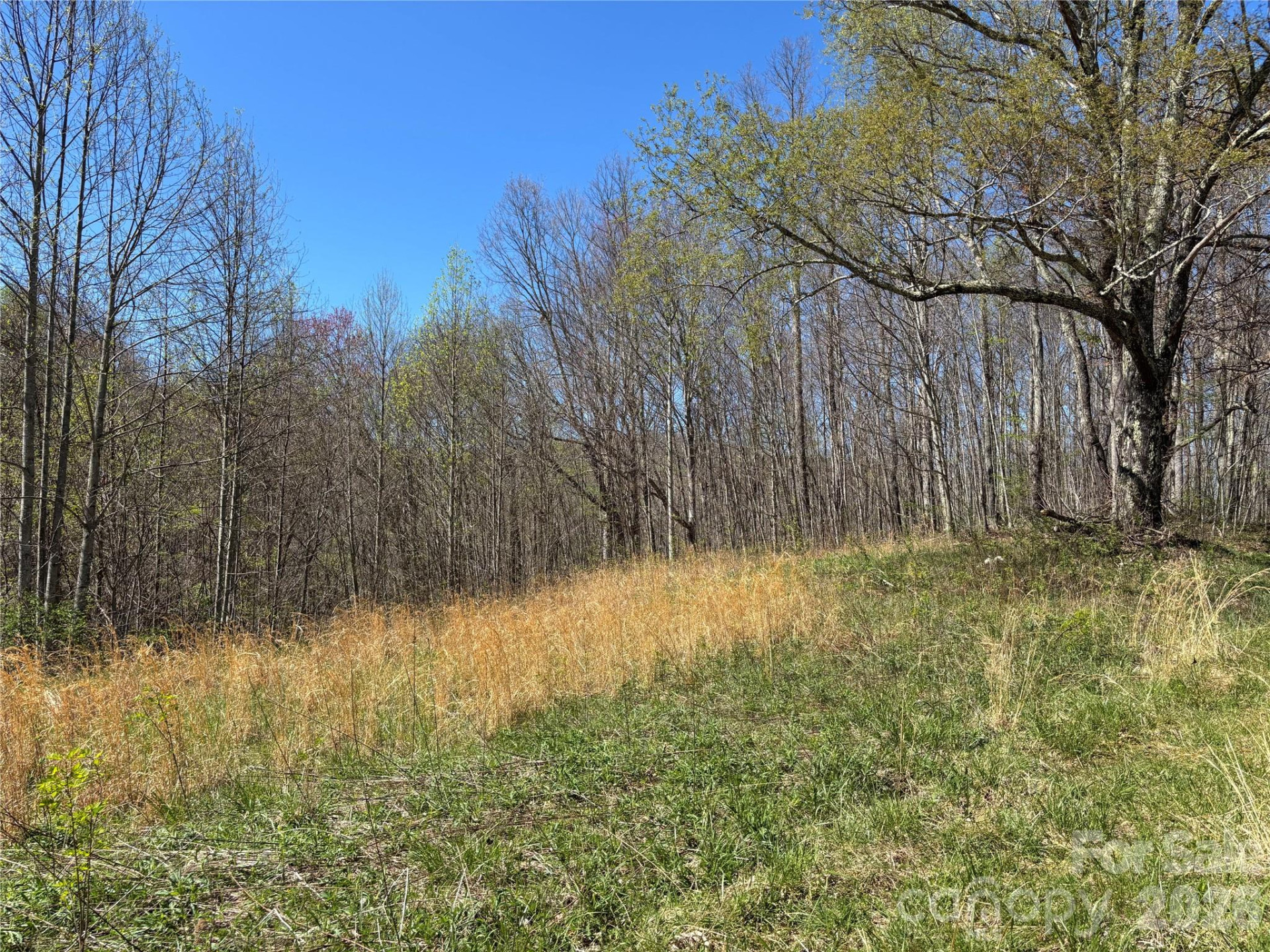 (West Lot) Meadow Fork Road - Photo 17