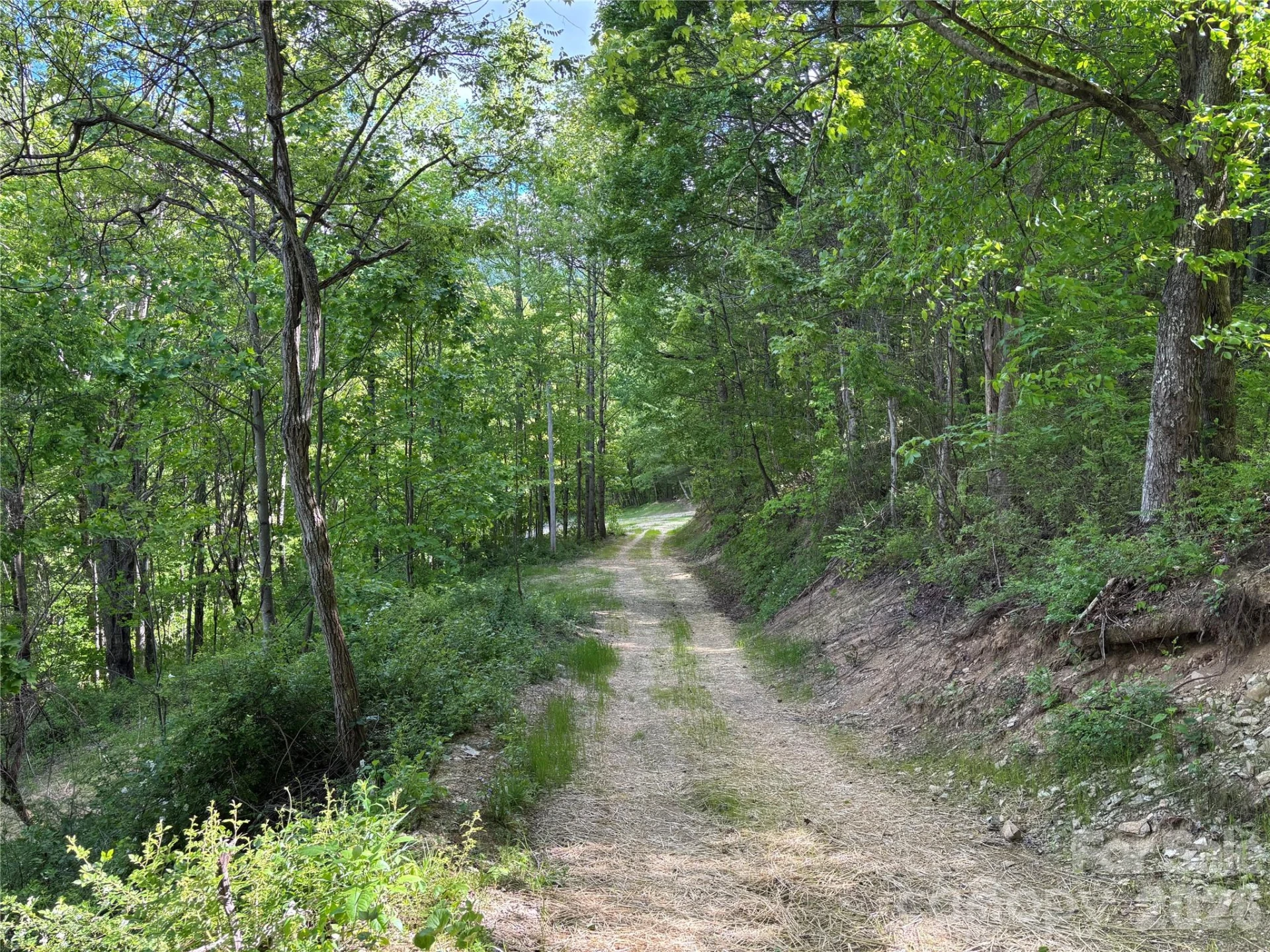 (West Lot) Meadow Fork Road - Photo 16