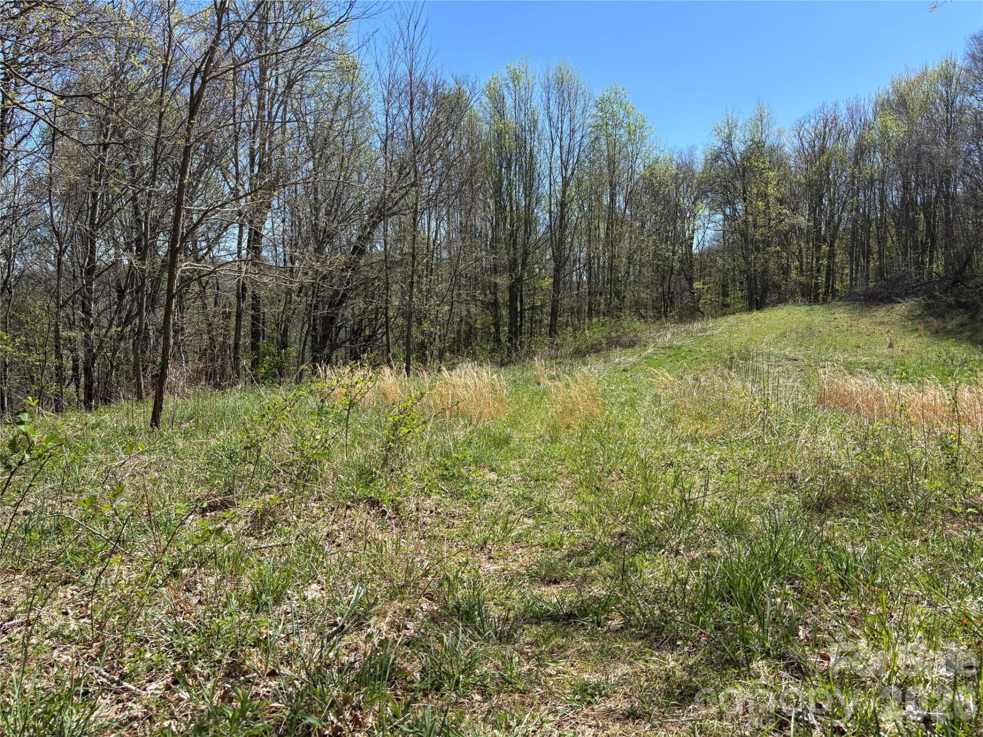 (West Lot) Meadow Fork Road - Photo 18