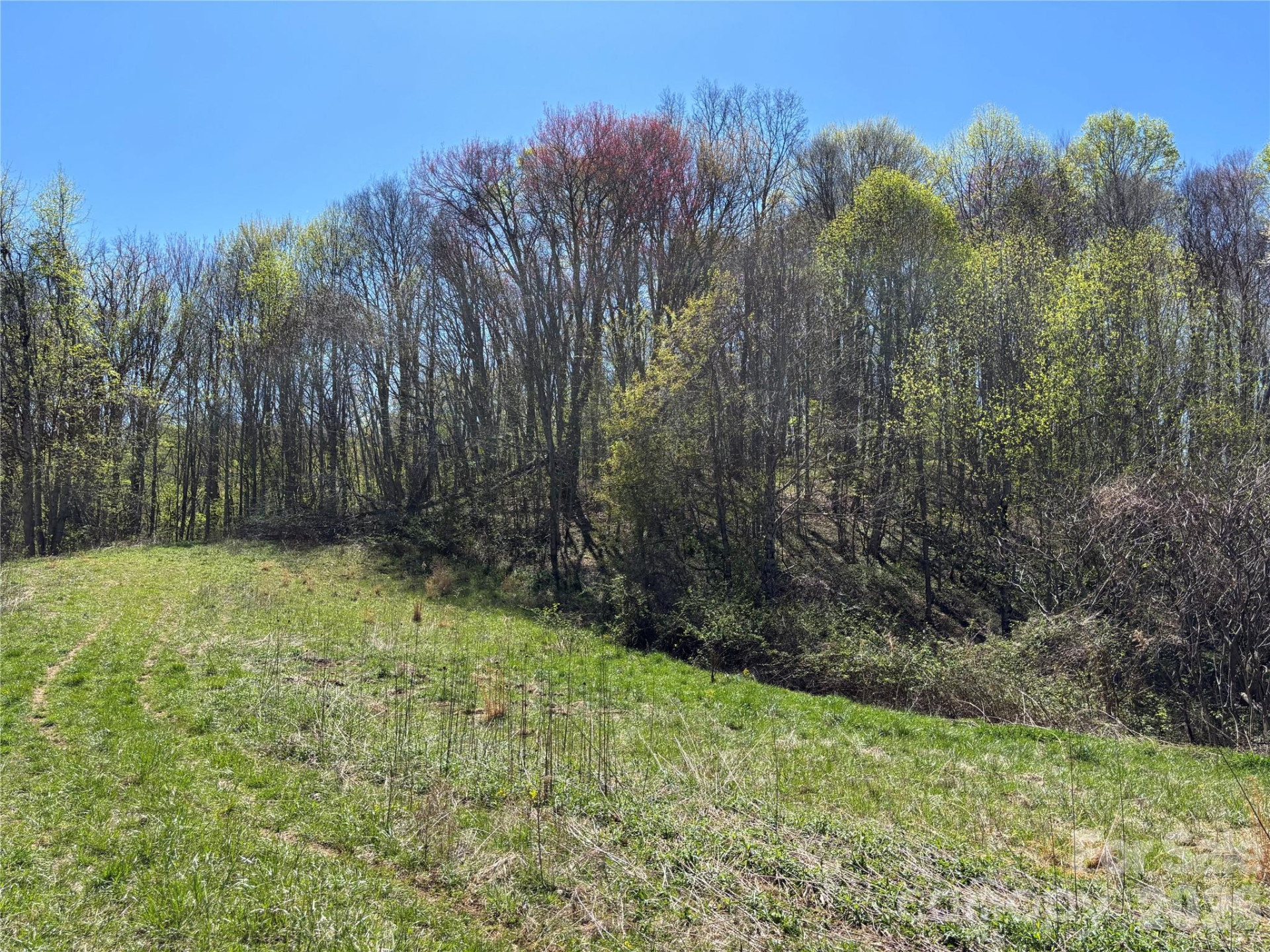 (West Lot) Meadow Fork Road - Photo 19