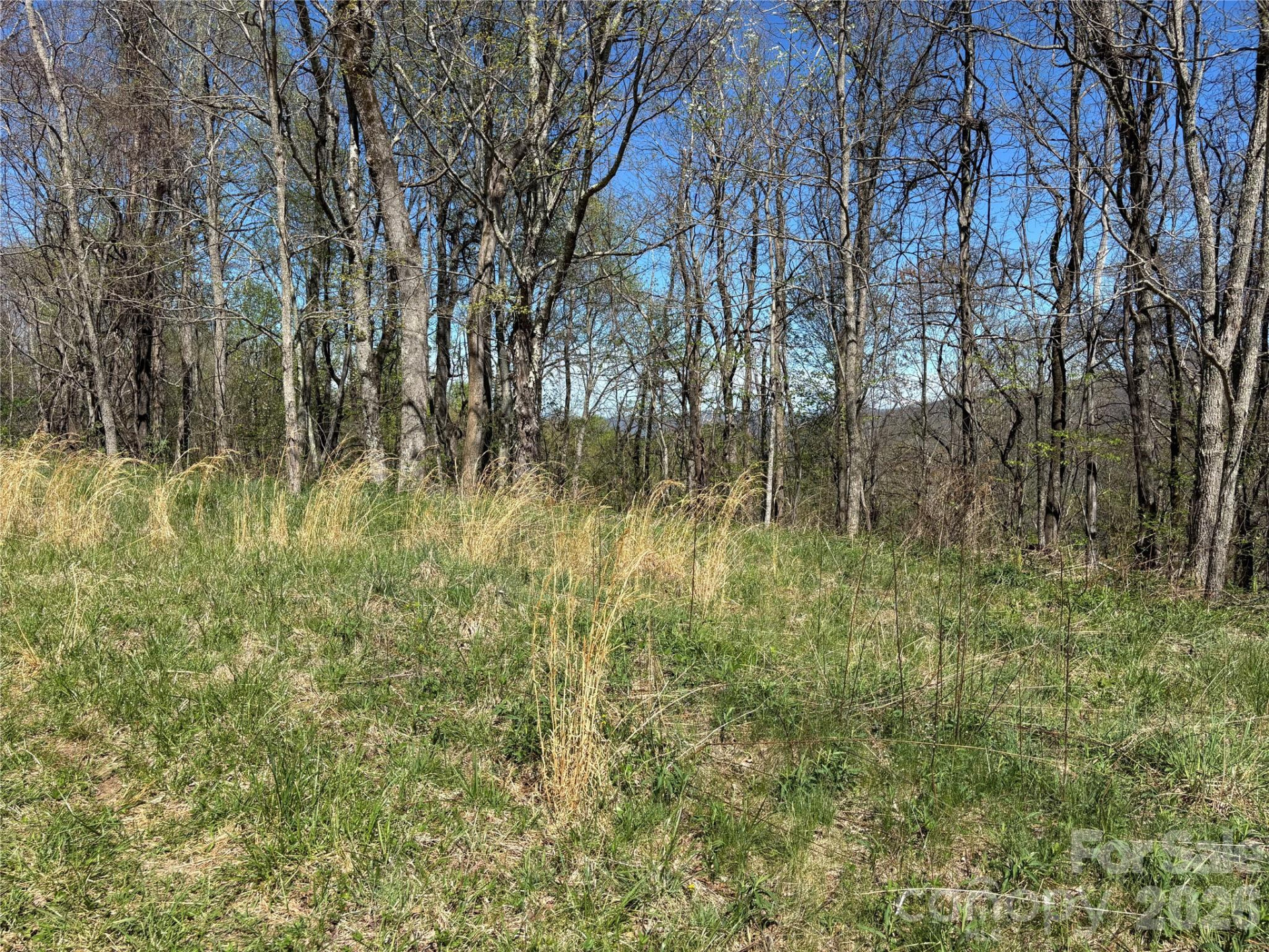 (West Lot) Meadow Fork Road - Photo 20