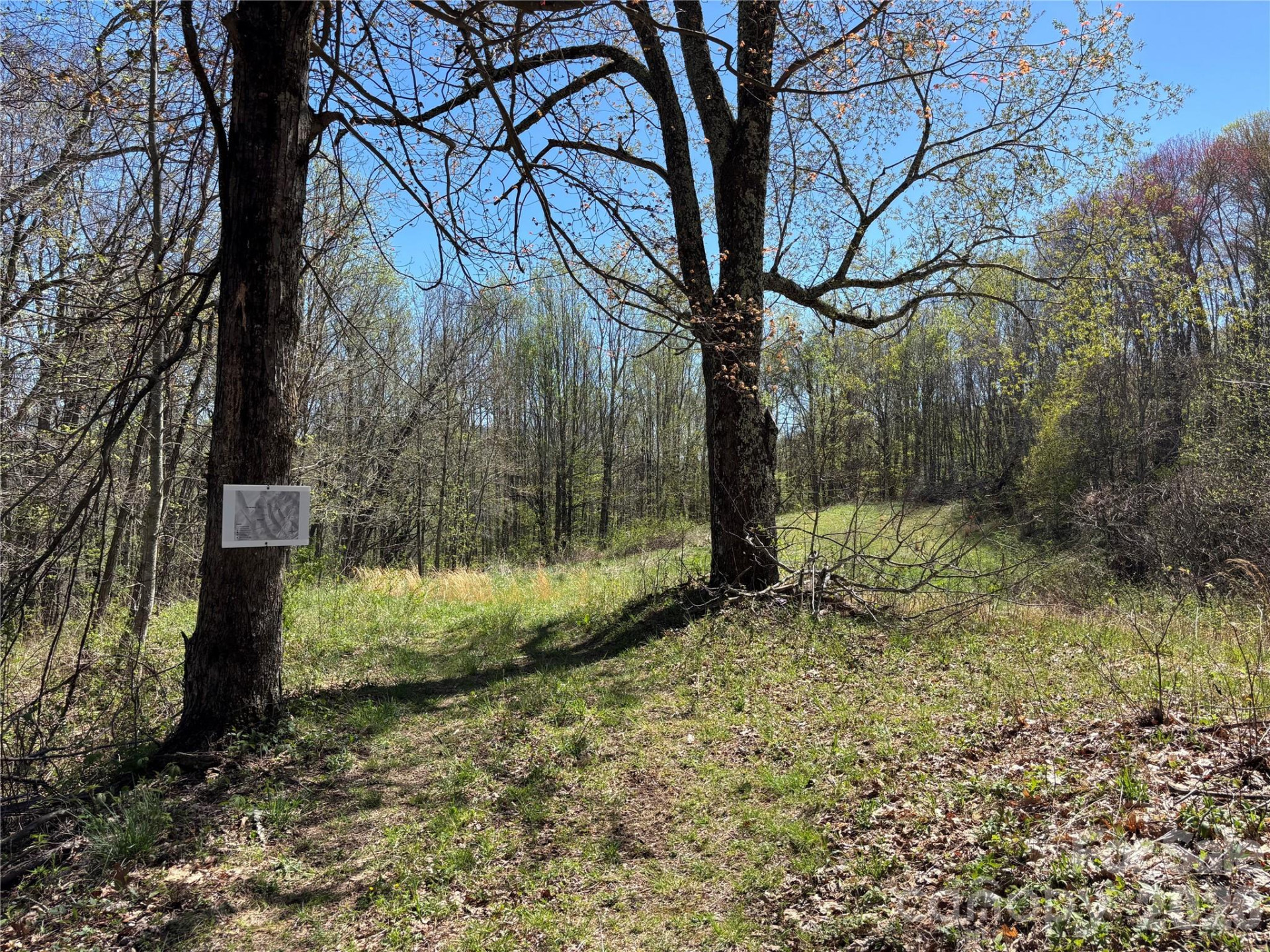 (West Lot) Meadow Fork Road - Photo 22