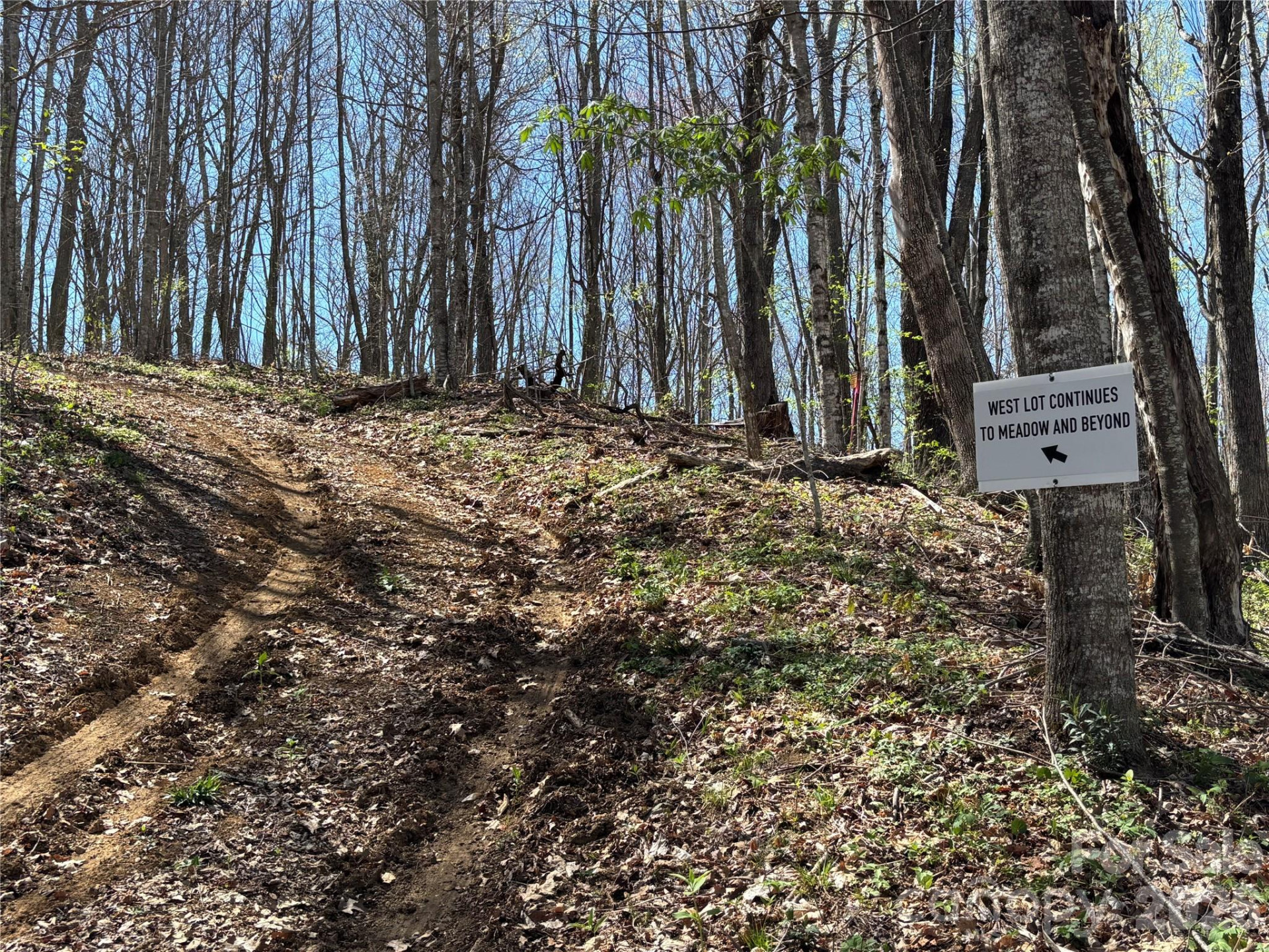 (West Lot) Meadow Fork Road - Photo 24