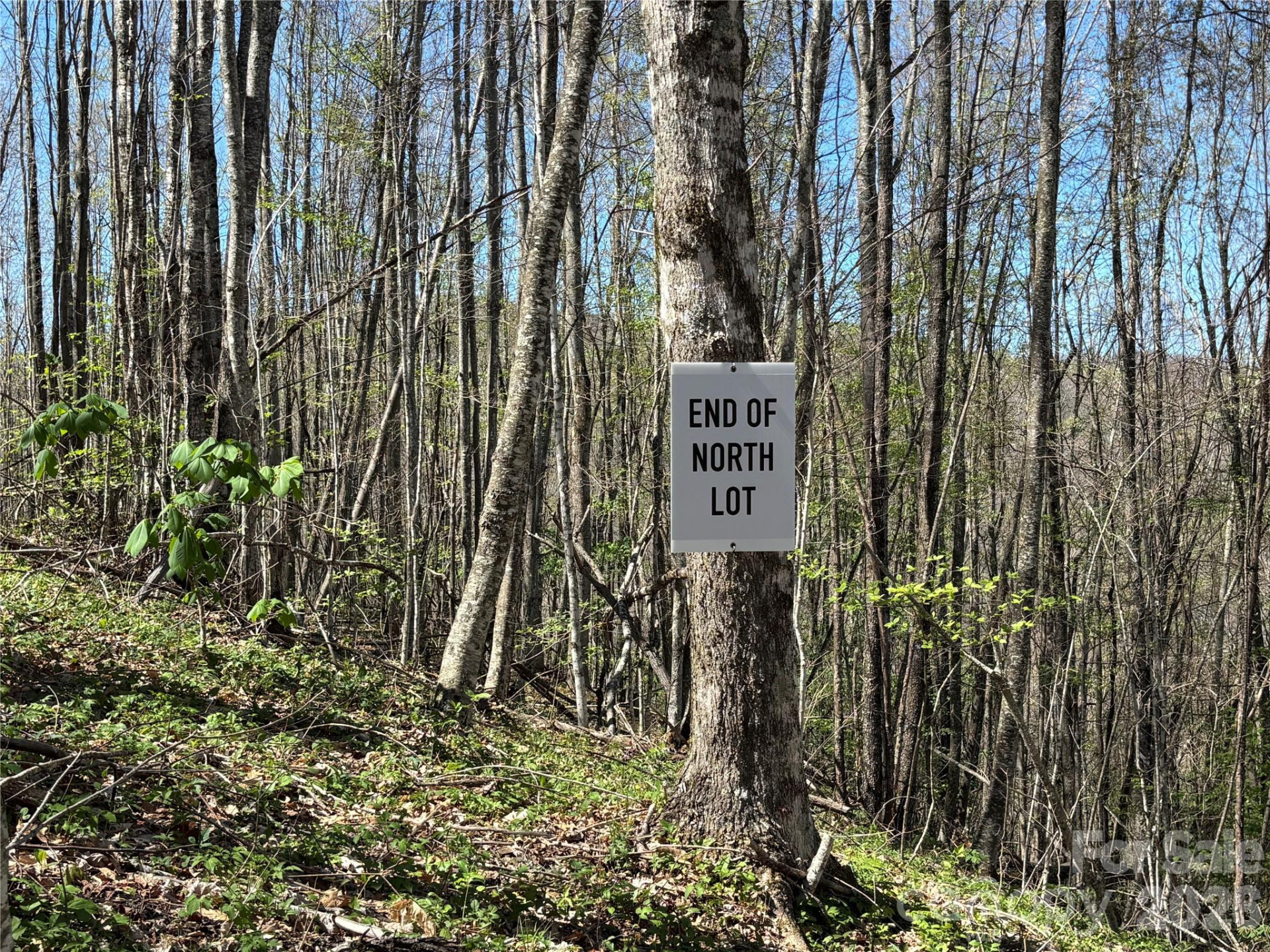 (West Lot) Meadow Fork Road - Photo 25