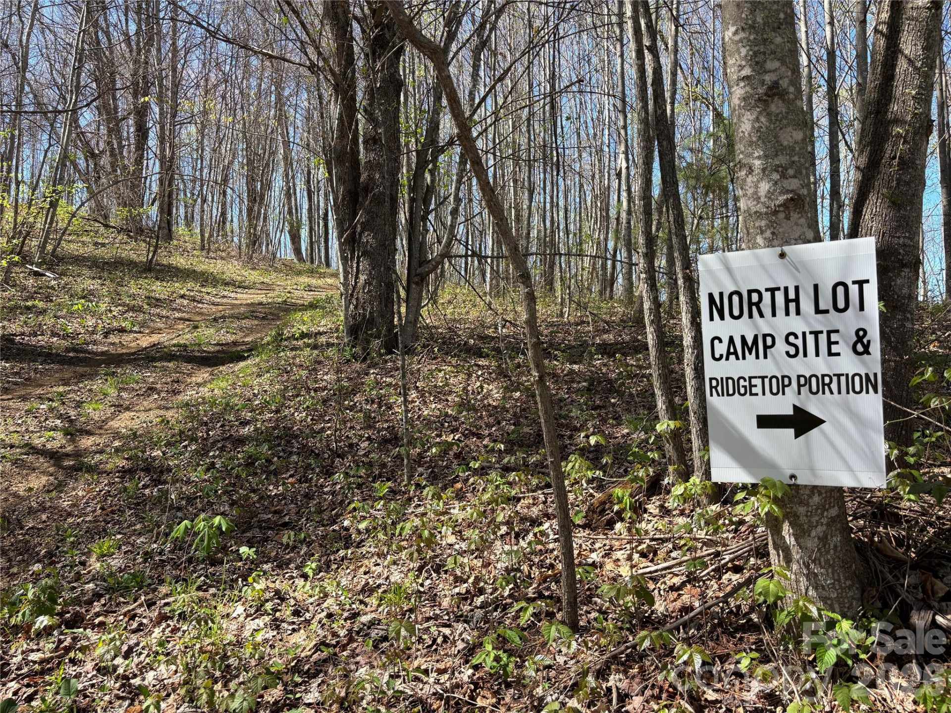 (West Lot) Meadow Fork Road - Photo 26