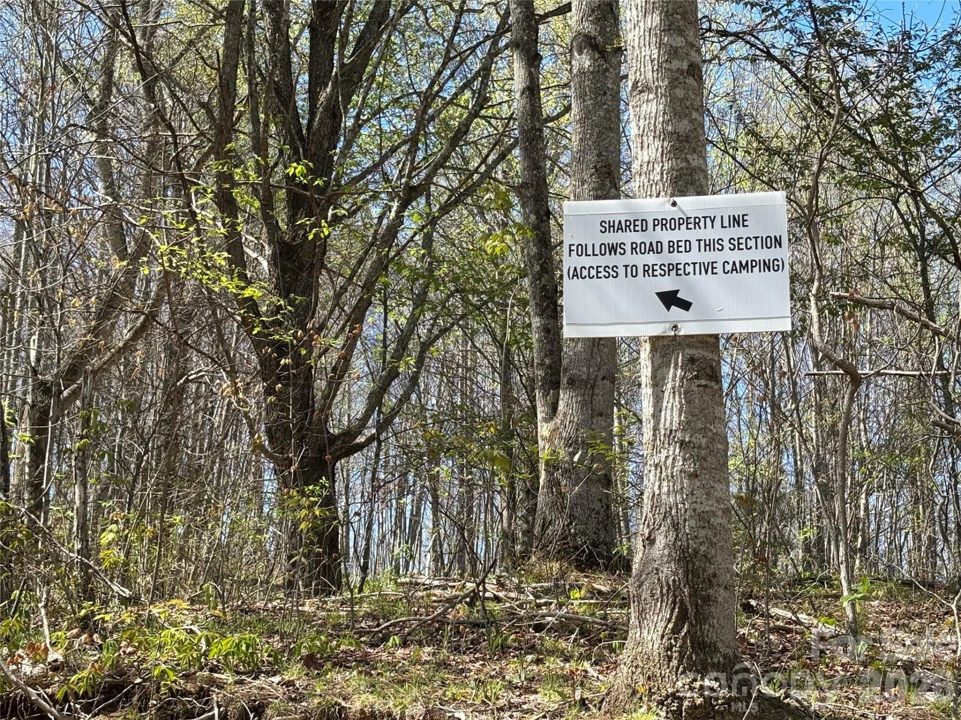 (West Lot) Meadow Fork Road - Photo 19