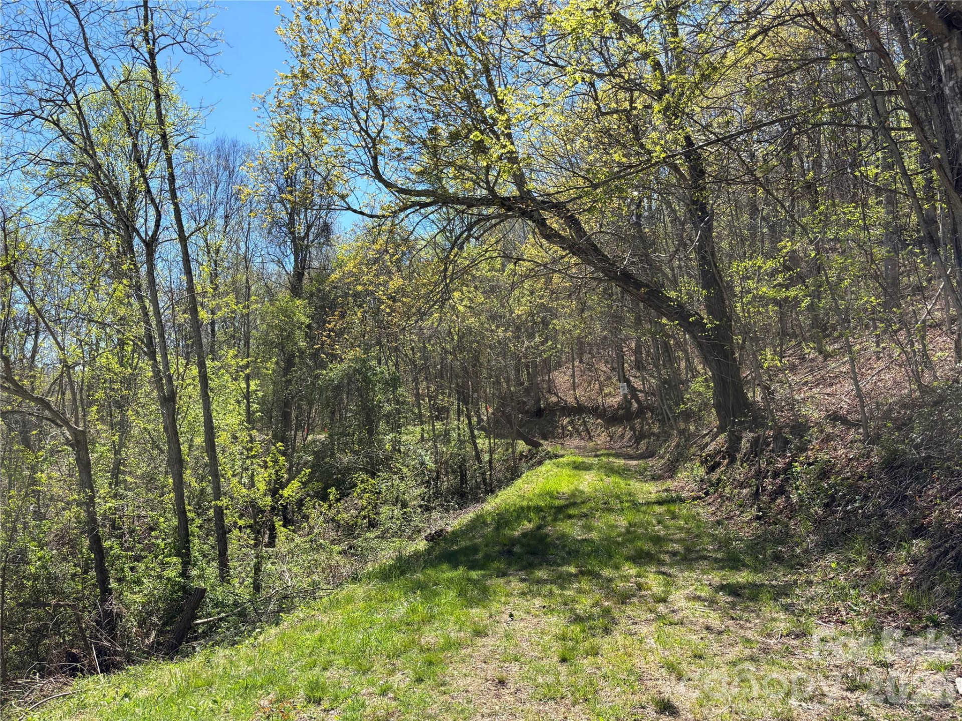 (West Lot) Meadow Fork Road - Photo 29