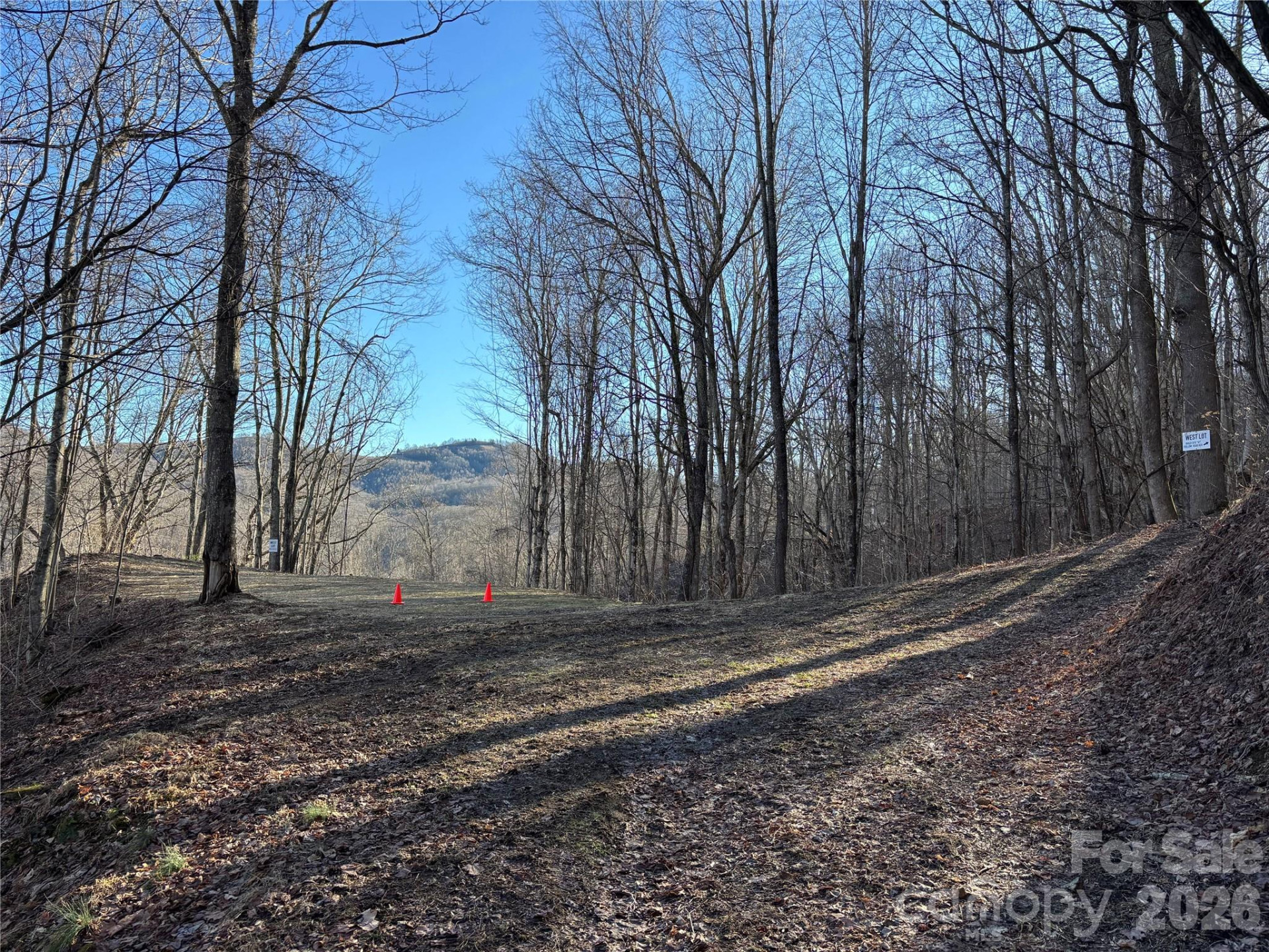 (West Lot) Meadow Fork Road - Photo 30