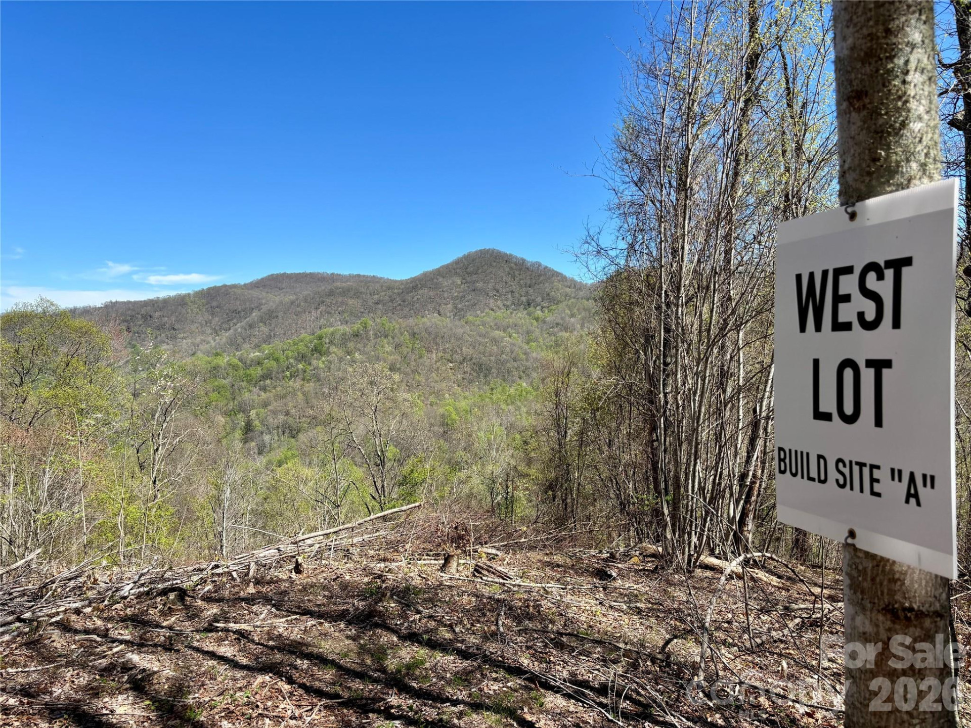 (West Lot) Meadow Fork Road - Photo 4